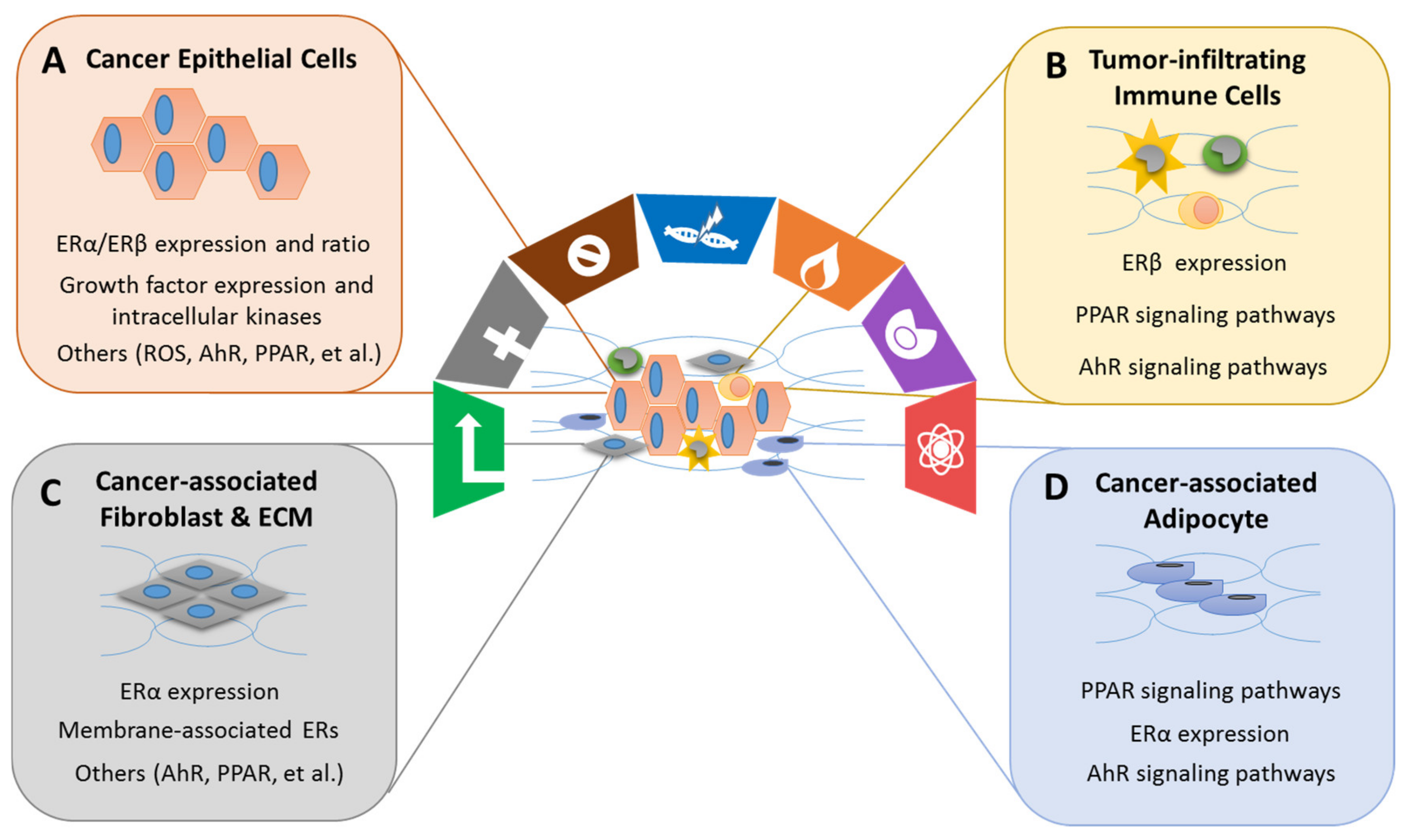 favorite Easygoing Painkiller IJMS | Free Full-Text | Exploring the Biological Activity and Mechanism of Xenoestrogens and Phytoestrogens in Cancers: Emerging Methods and Concepts | HTML favorite Easygoing Painkiller IJMS | Free Full-Text | Exploring the Biological Activity and Mechanism of Xenoestrogens and Phytoestrogens in Cancers: Emerging Methods and Concepts | HTML