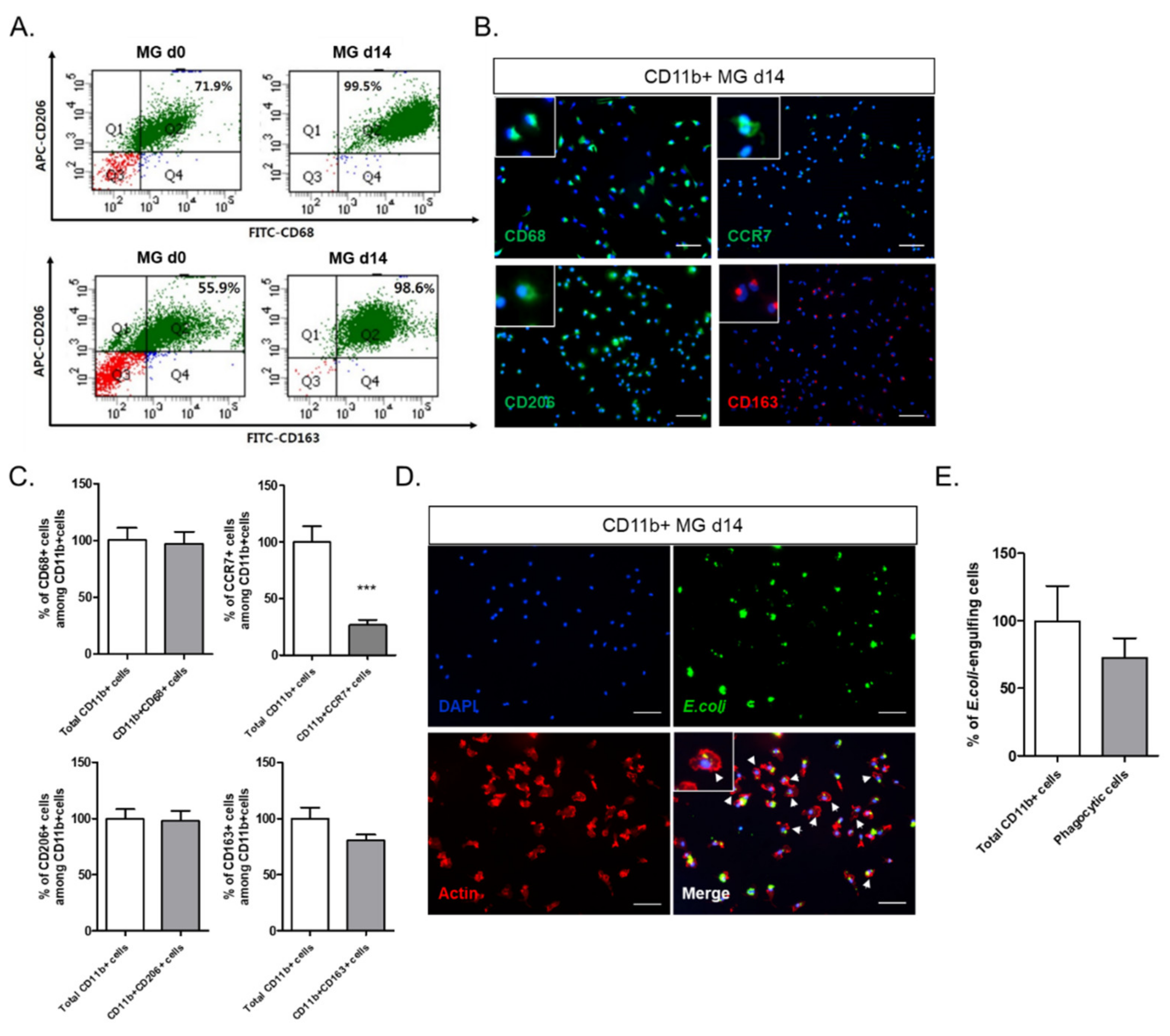 Ijms 22 08800 g002 550