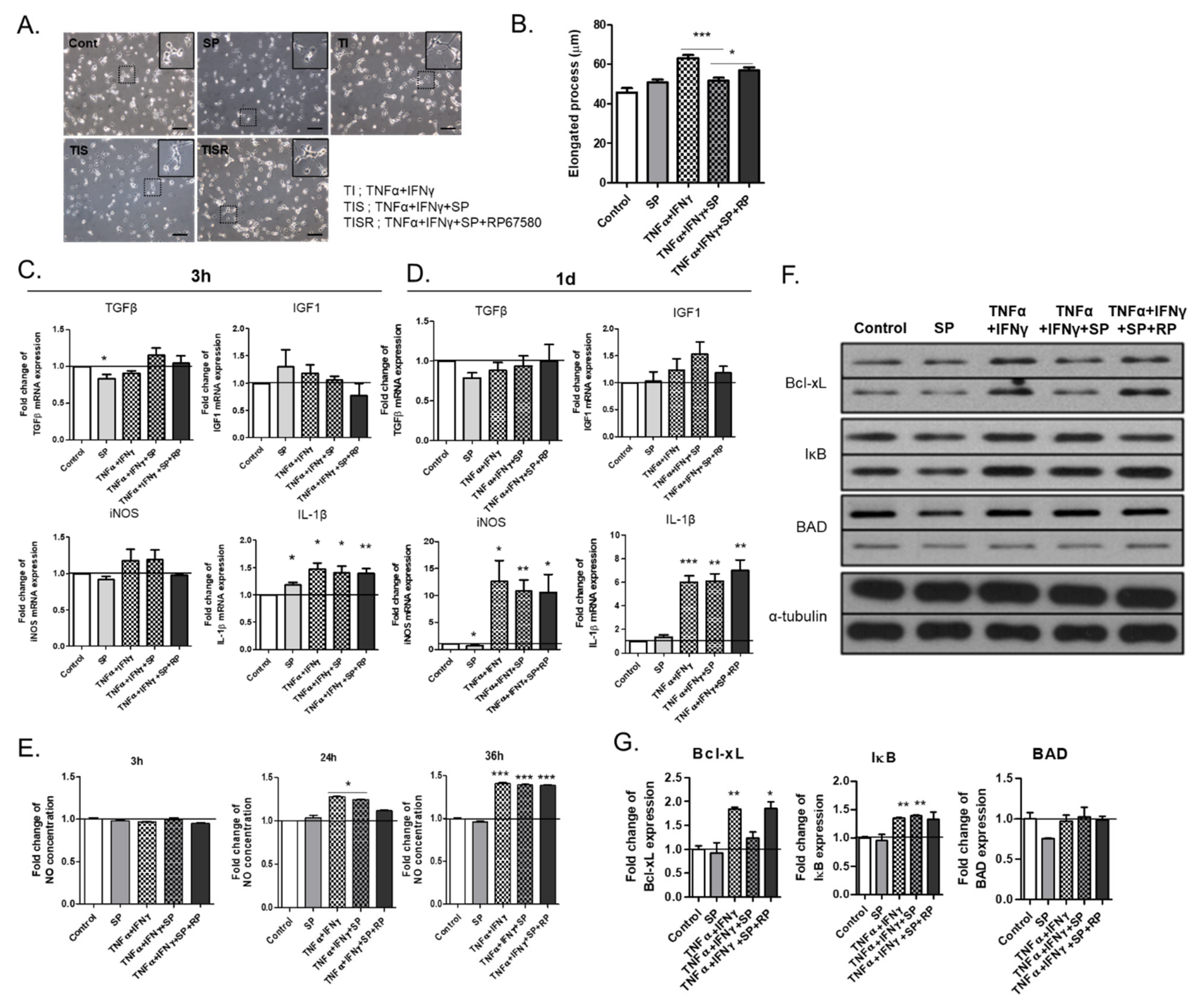 Ijms 22 08800 g005 550