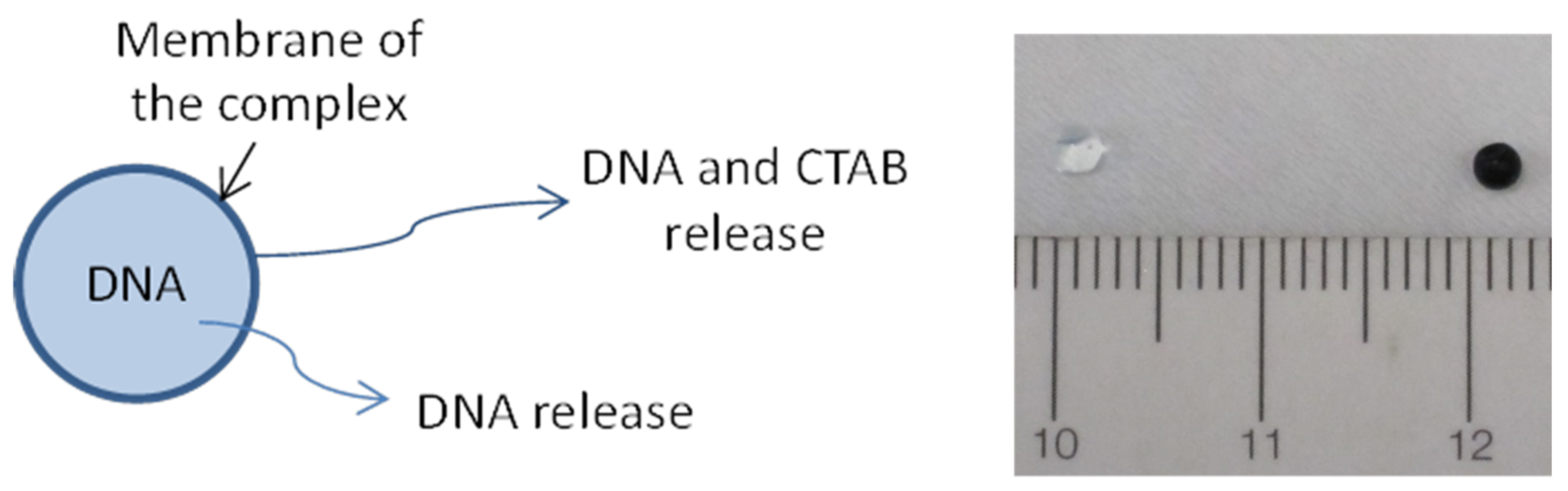 Ijms 22 08801 g001 550