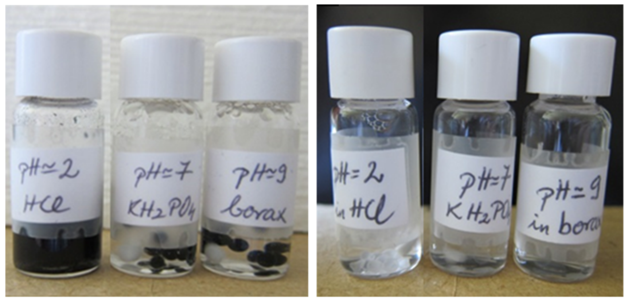 Ijms 22 08801 g004 550