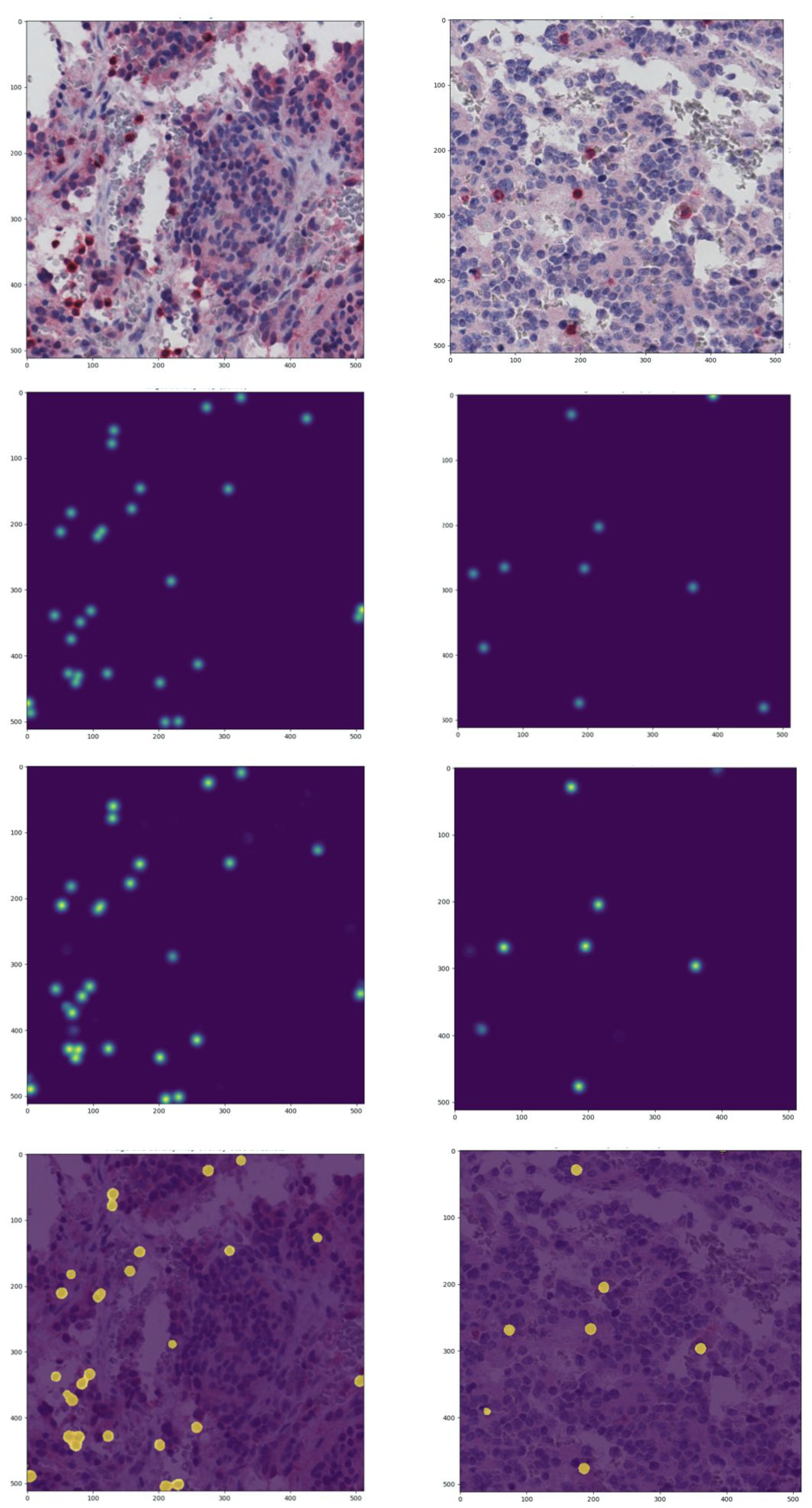 Ijms 22 08804 g005 550