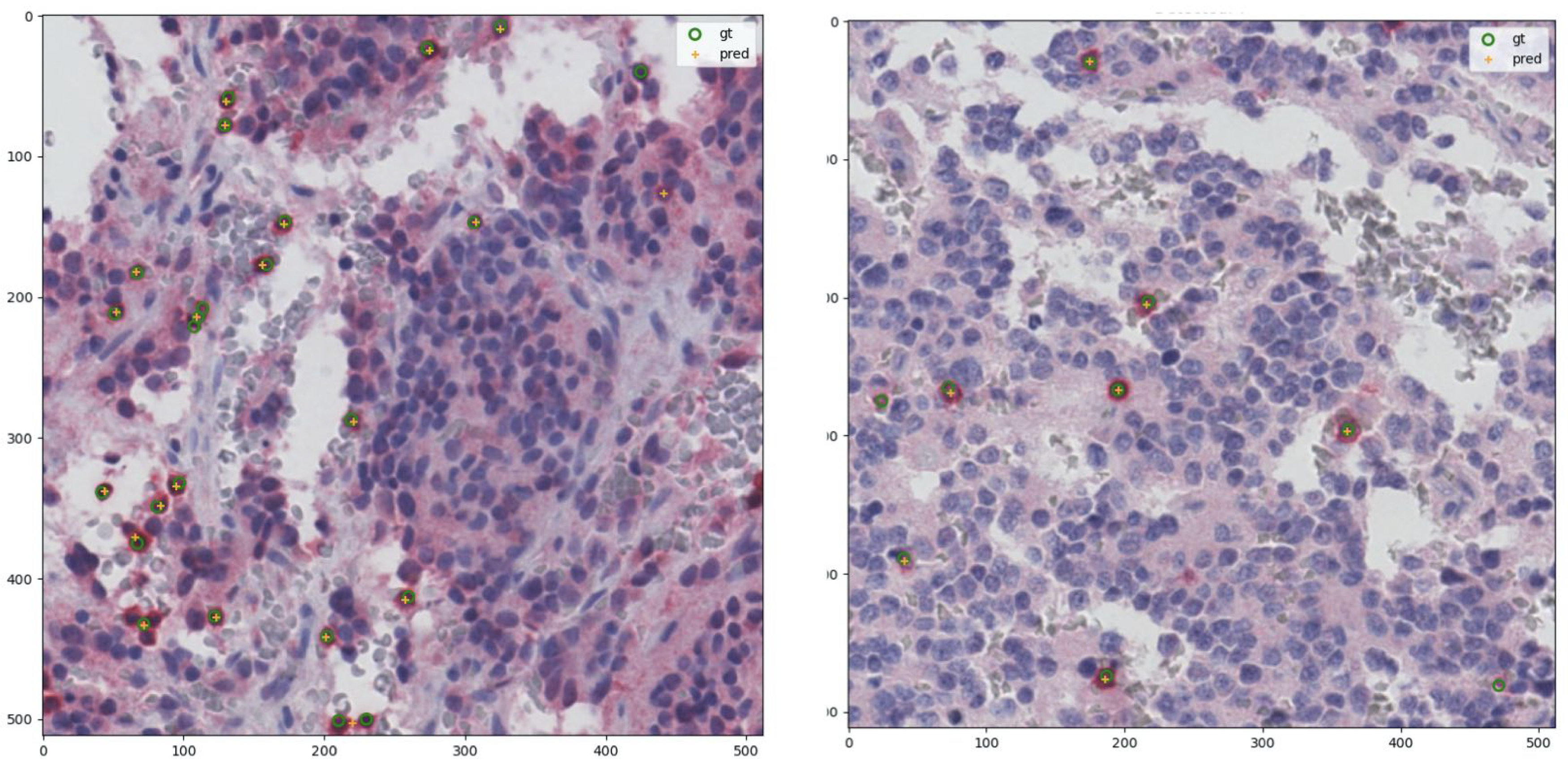 Ijms 22 08804 g006 550