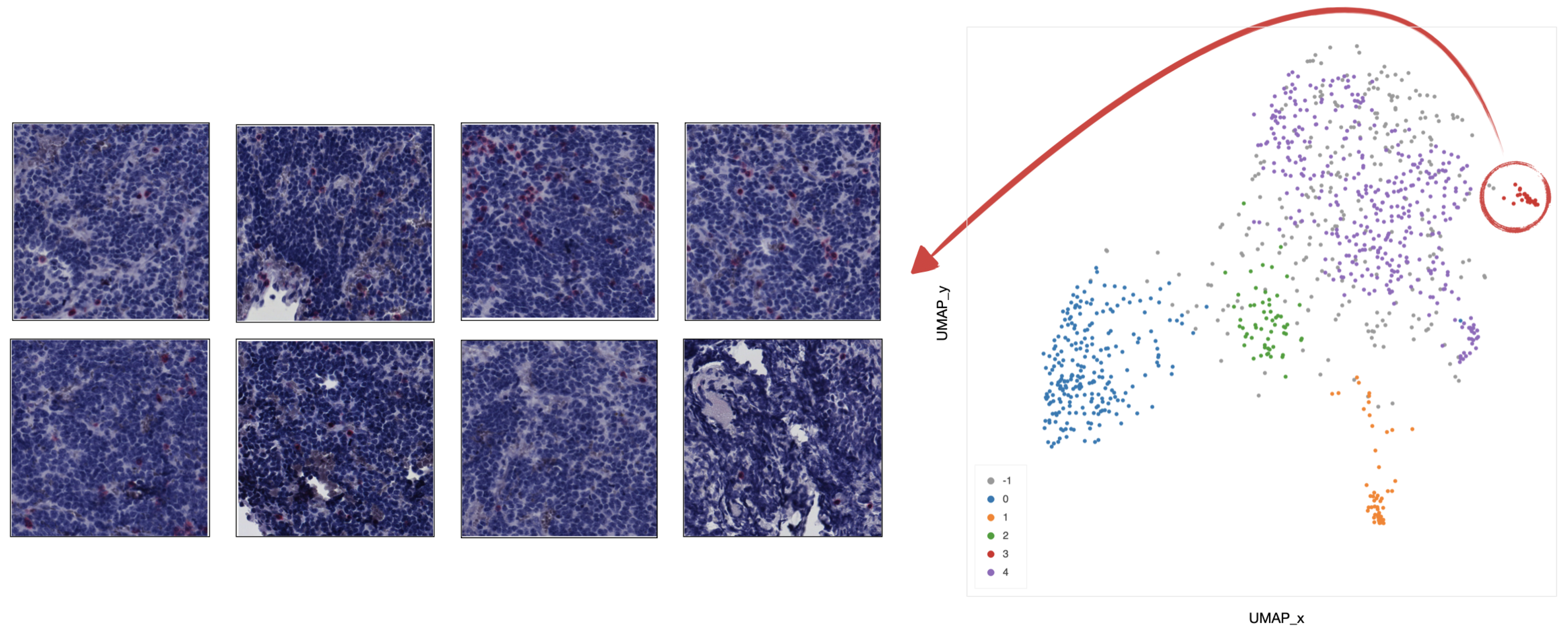 Ijms 22 08804 g012 550