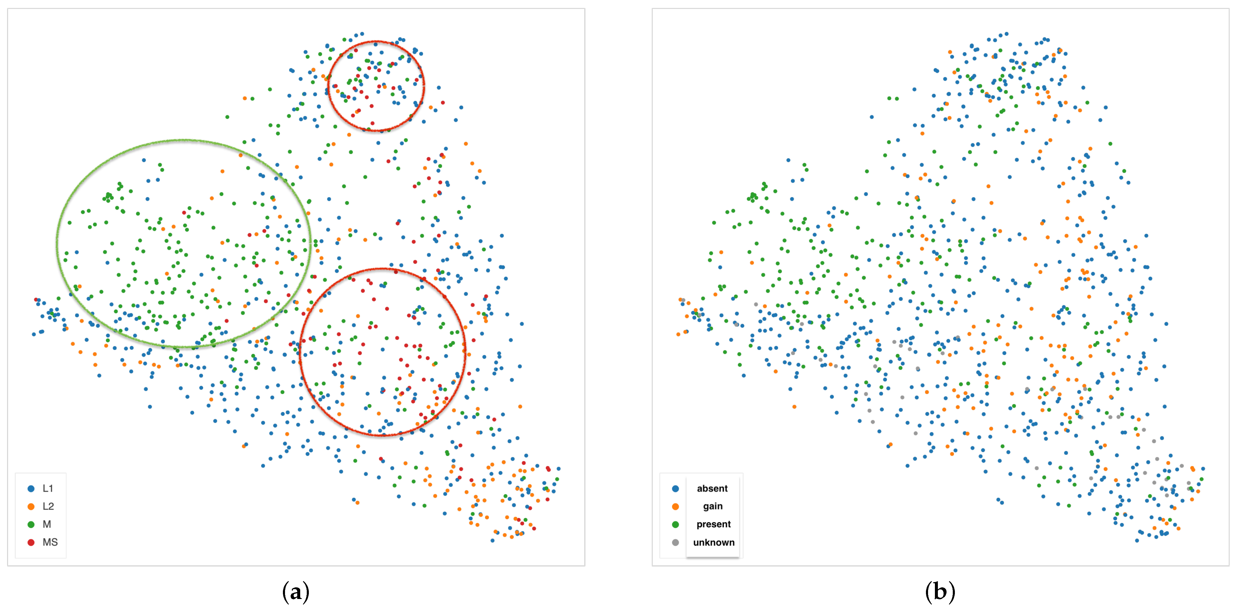 Ijms 22 08804 g015 550