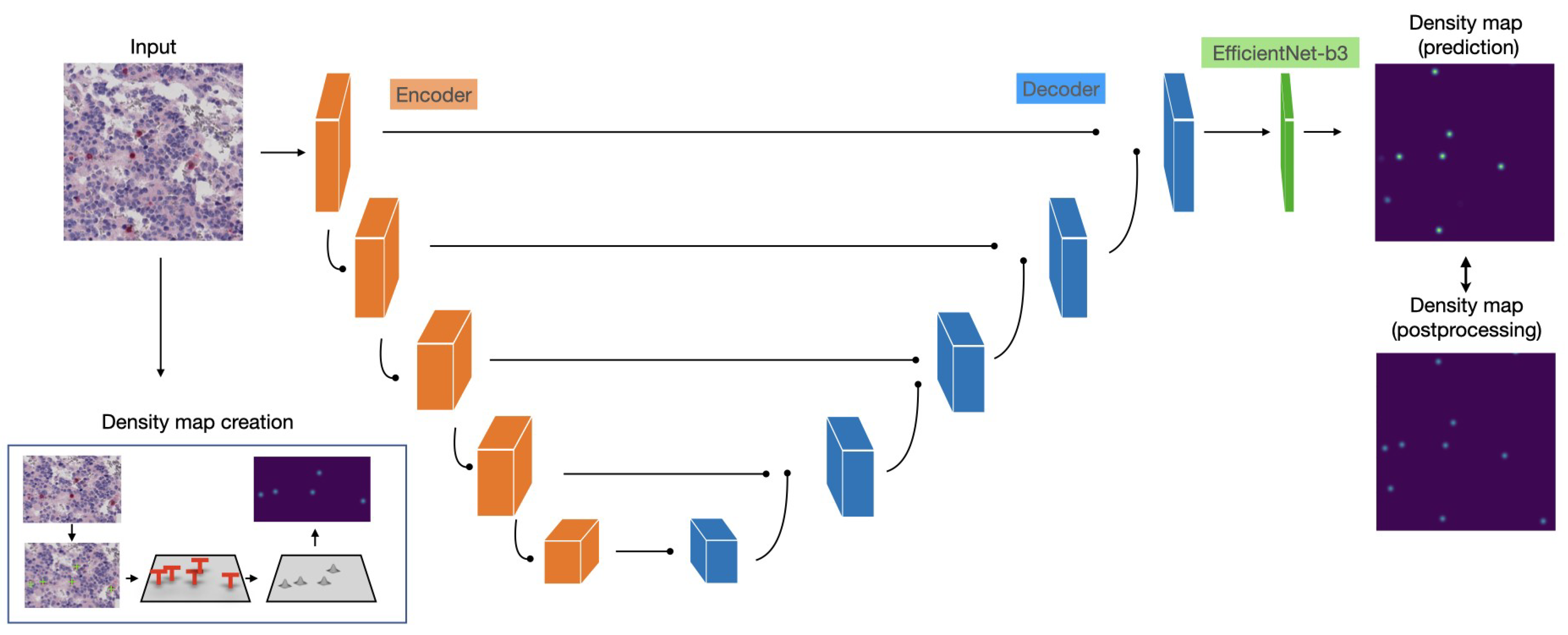 Ijms 22 08804 g022 550