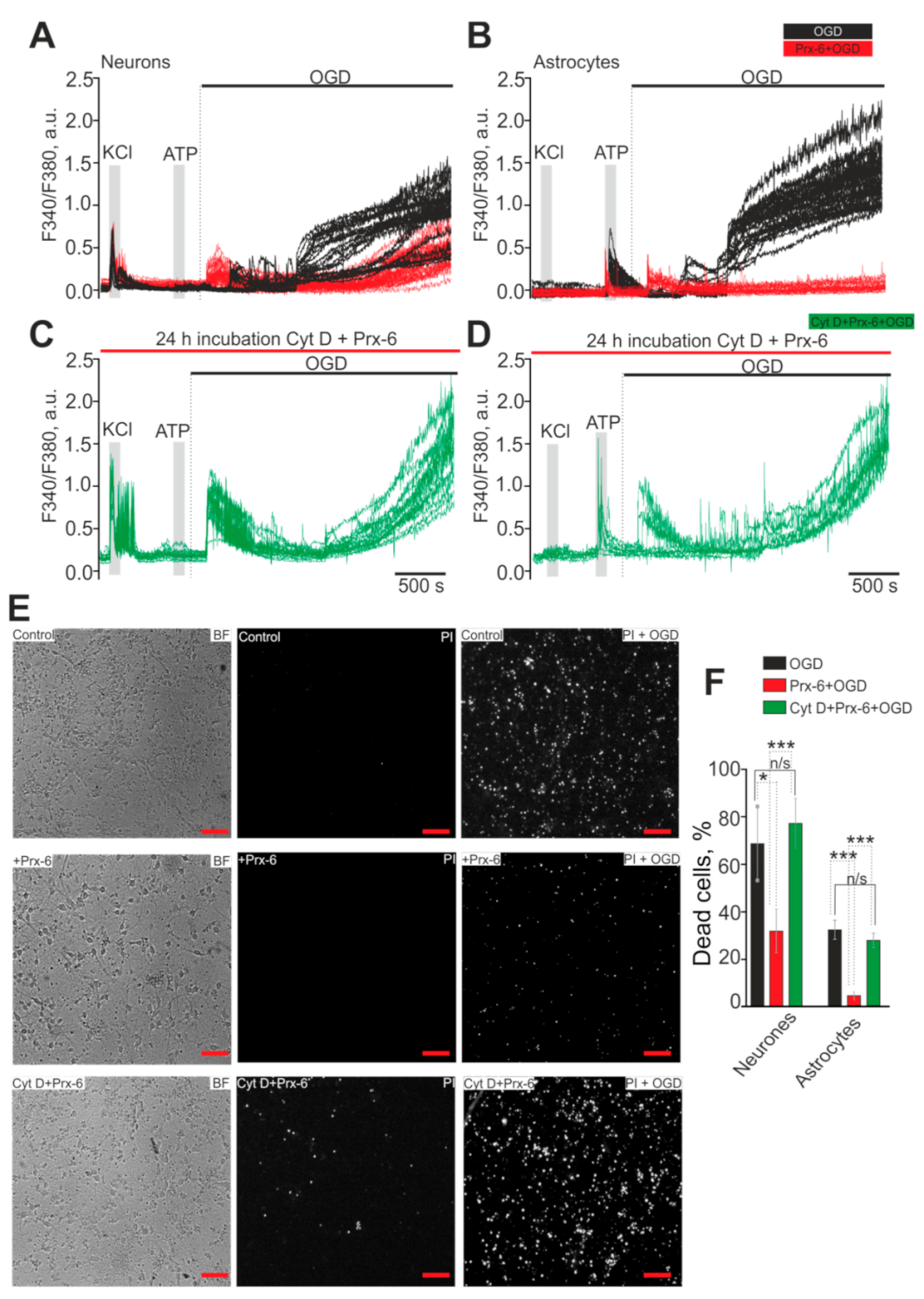 Ijms 22 08805 g001 550