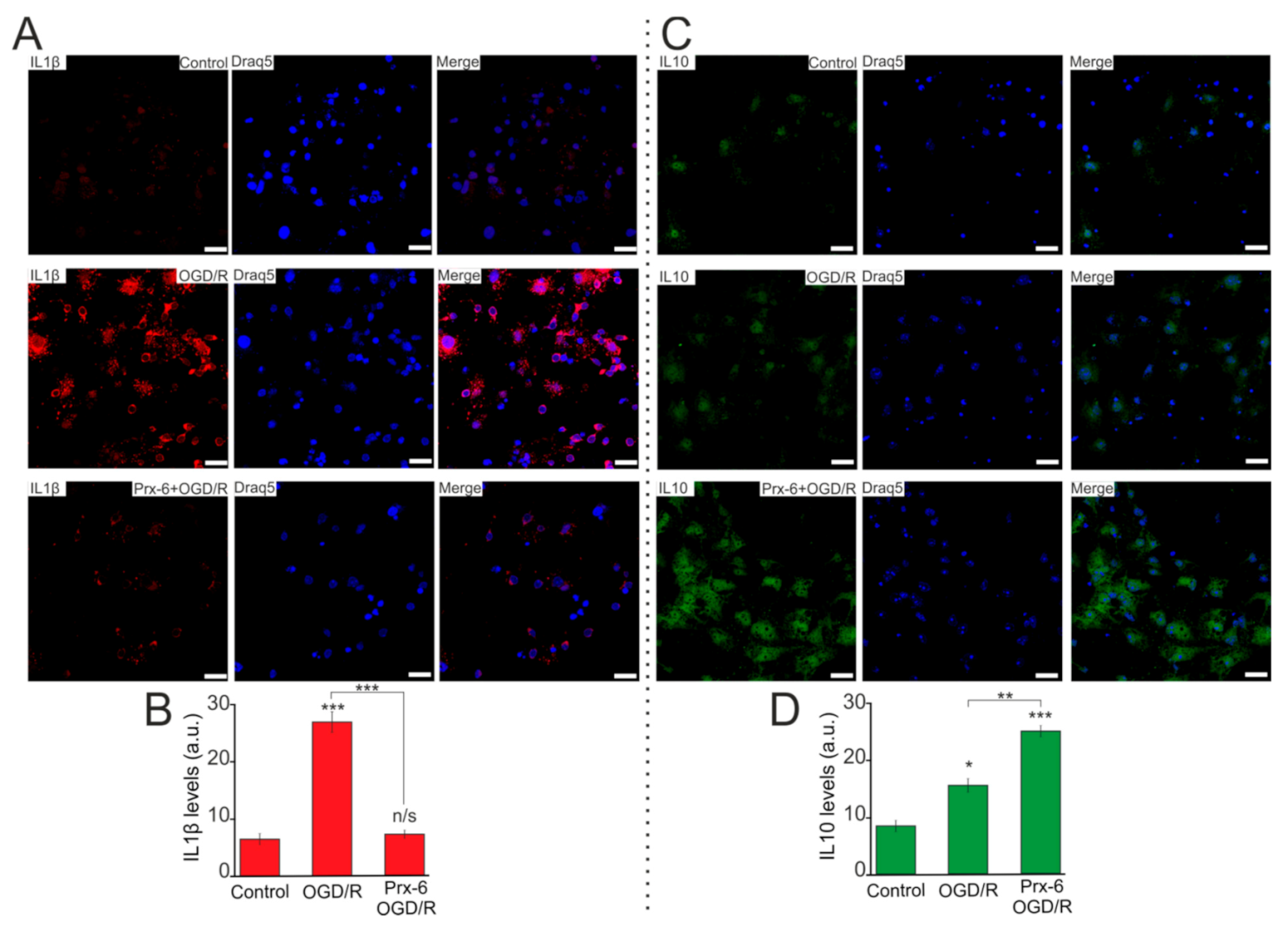 Ijms 22 08805 g008 550