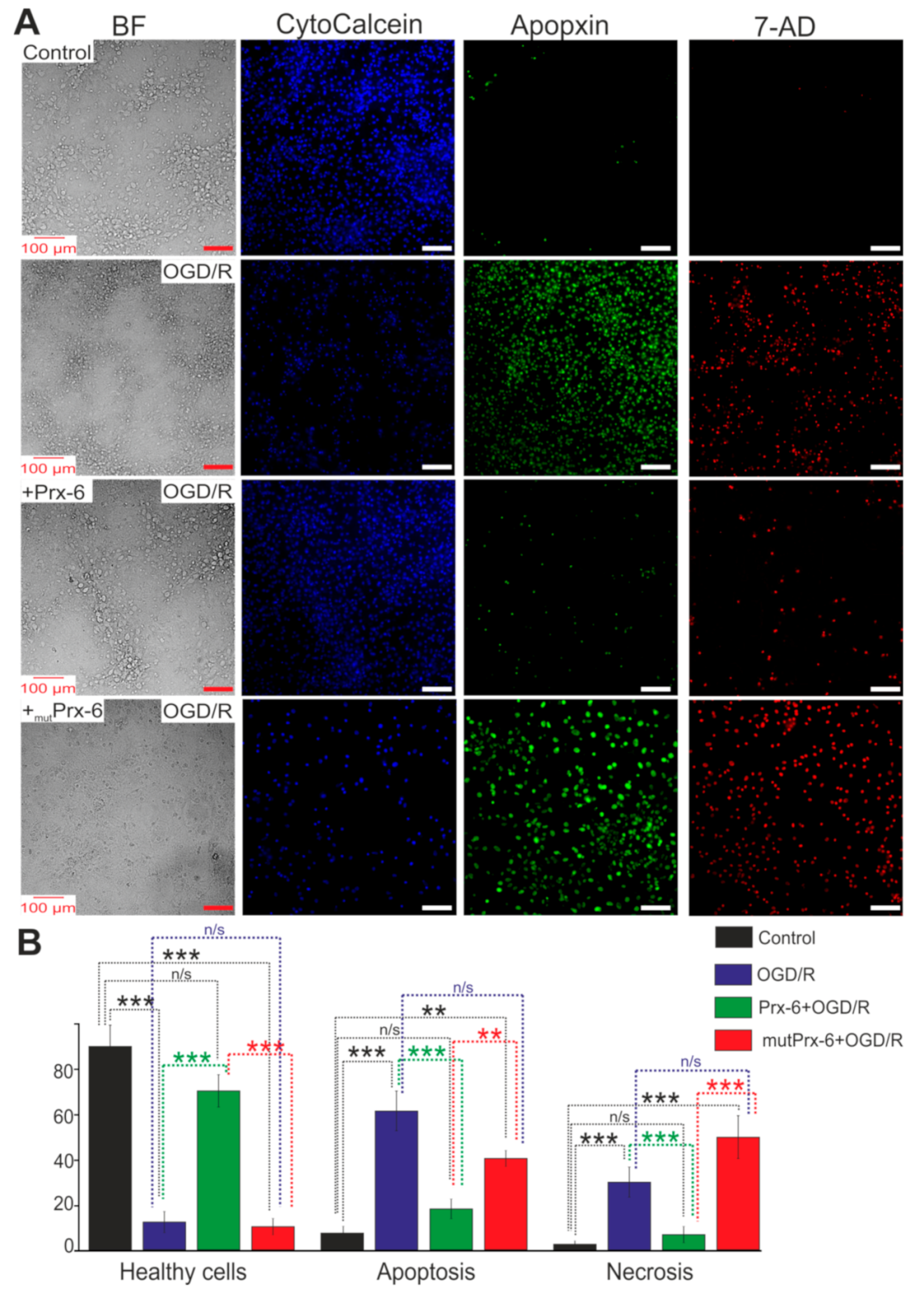 Ijms 22 08805 g009 550