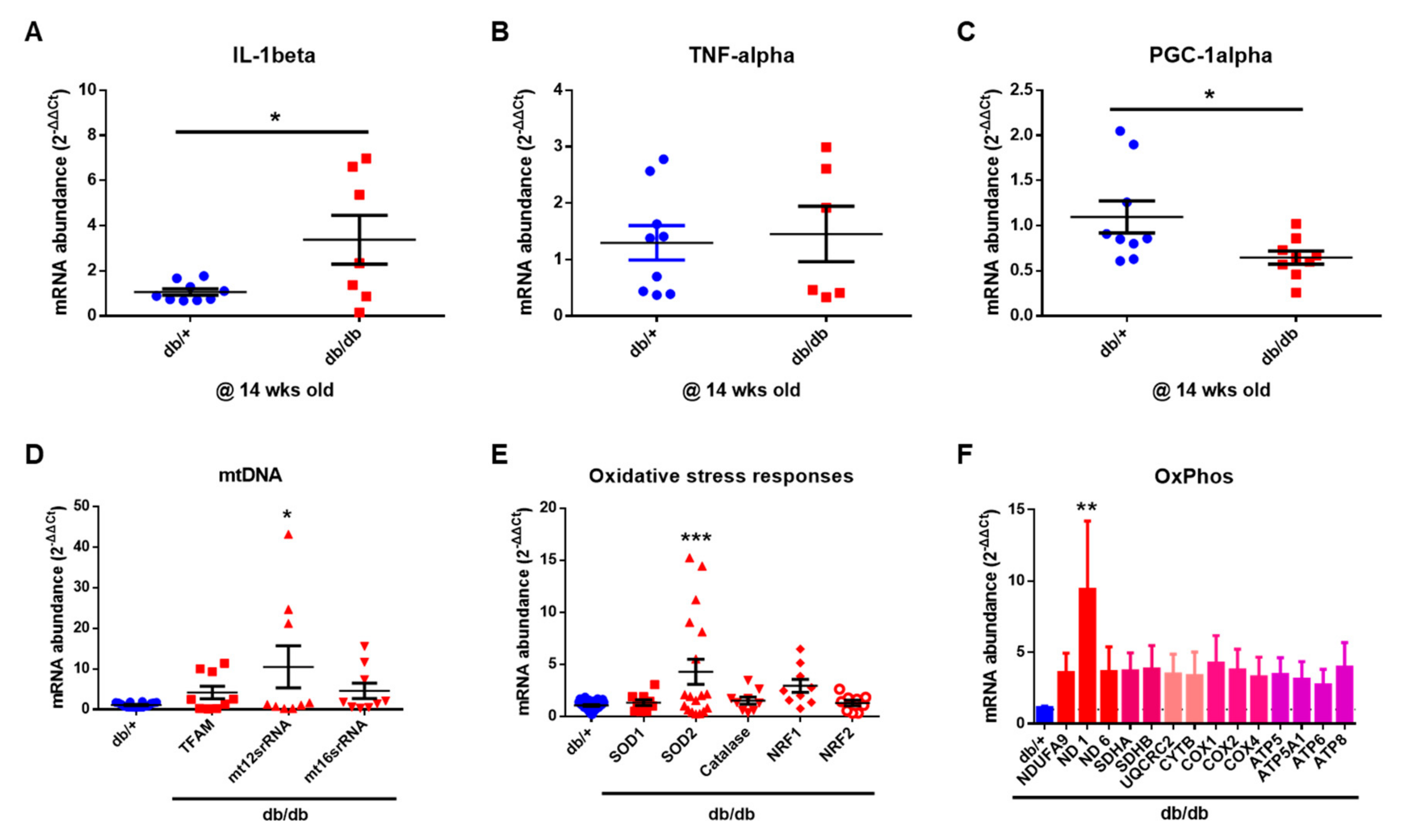 Ijms 22 08807 g007 550