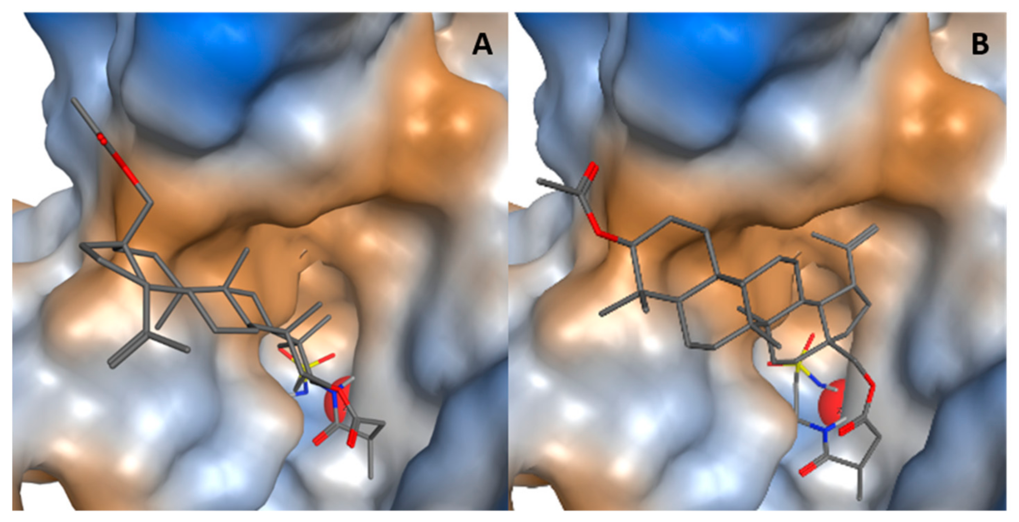Ijms 22 08808 g007 Ijms 22 08808 g007