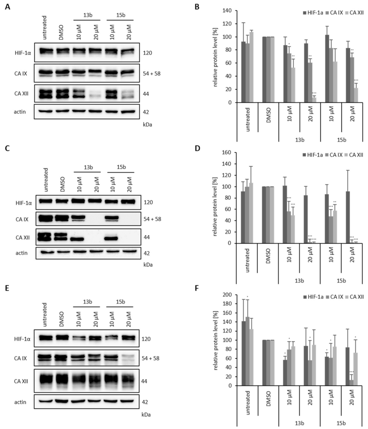 Ijms 22 08808 g009 Ijms 22 08808 g009