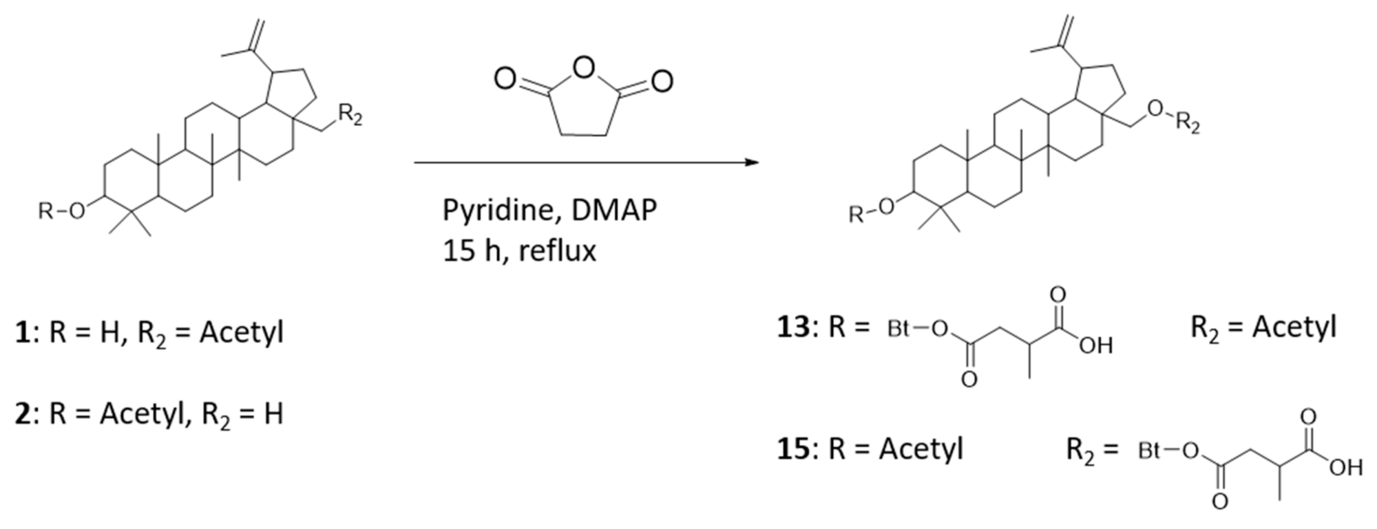 Ijms 22 08808 g011 Ijms 22 08808 g011