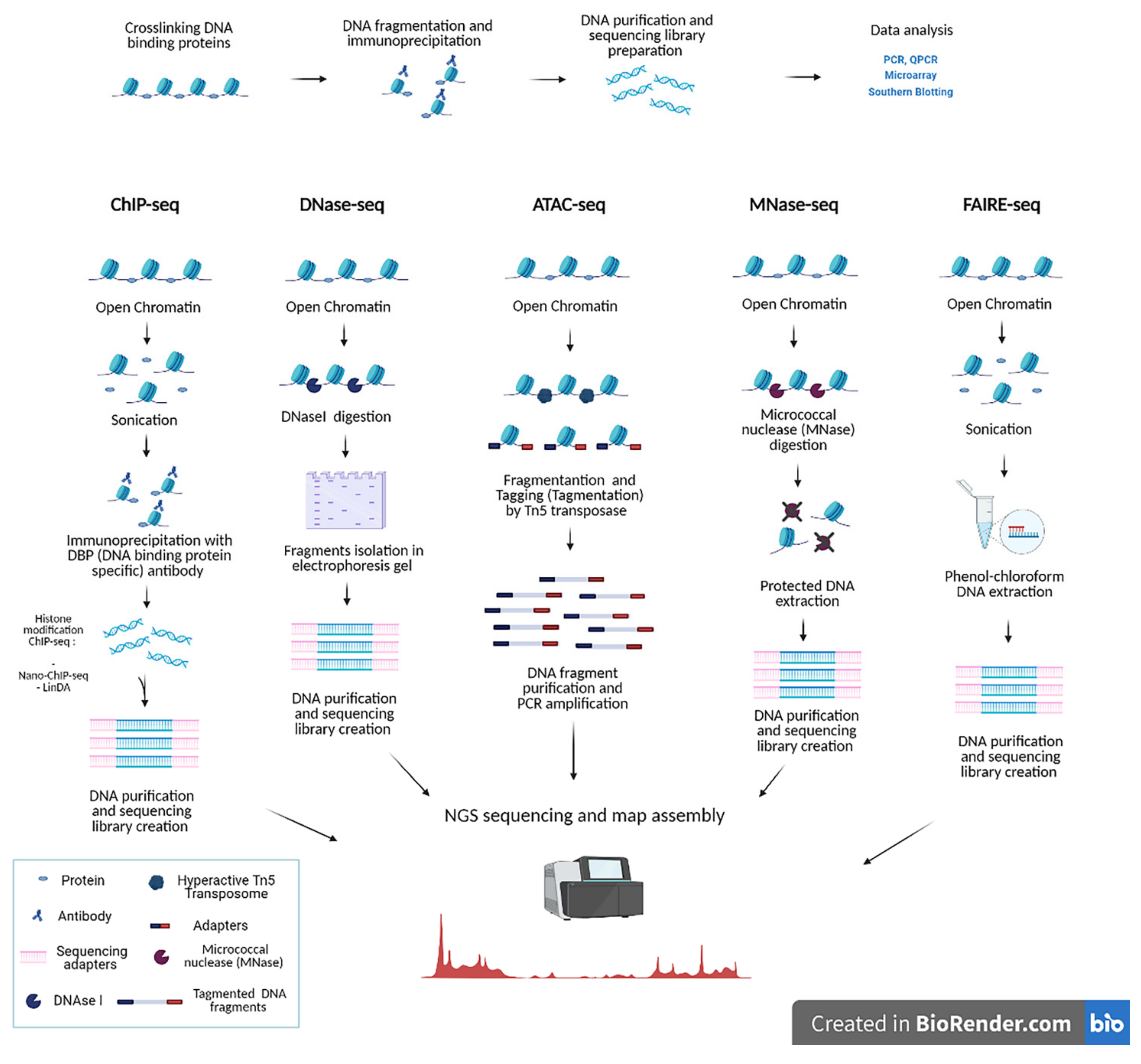 Ijms 22 08809 g002 Ijms 22 08809 g002