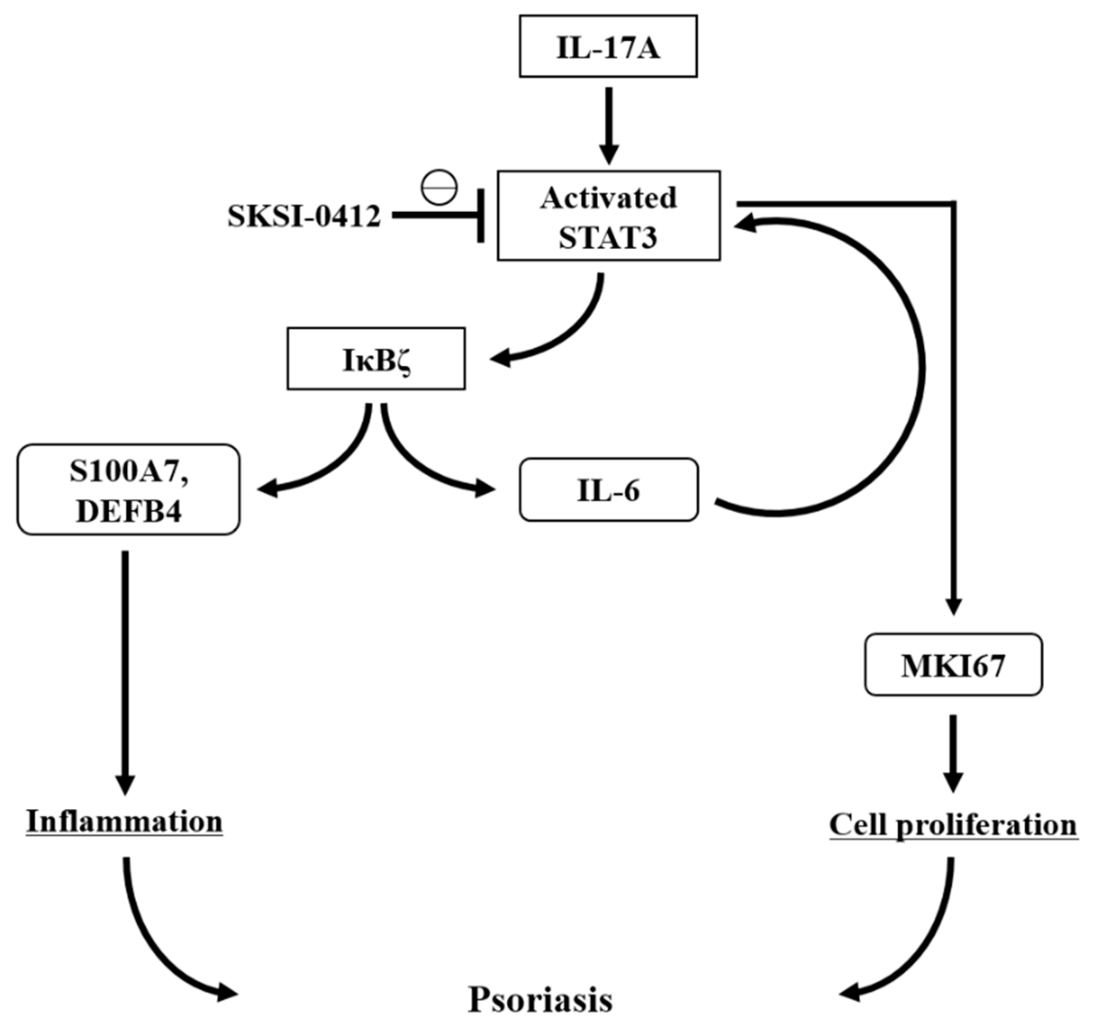 Ijms 22 08813 g005 550