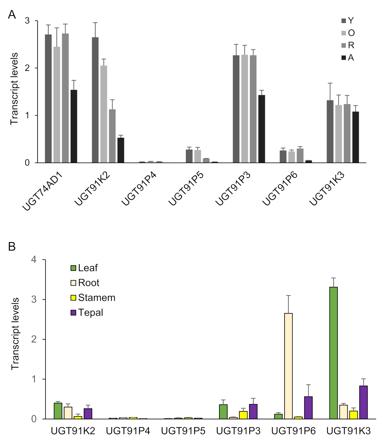 Ijms 22 08815 g002 Ijms 22 08815 g002