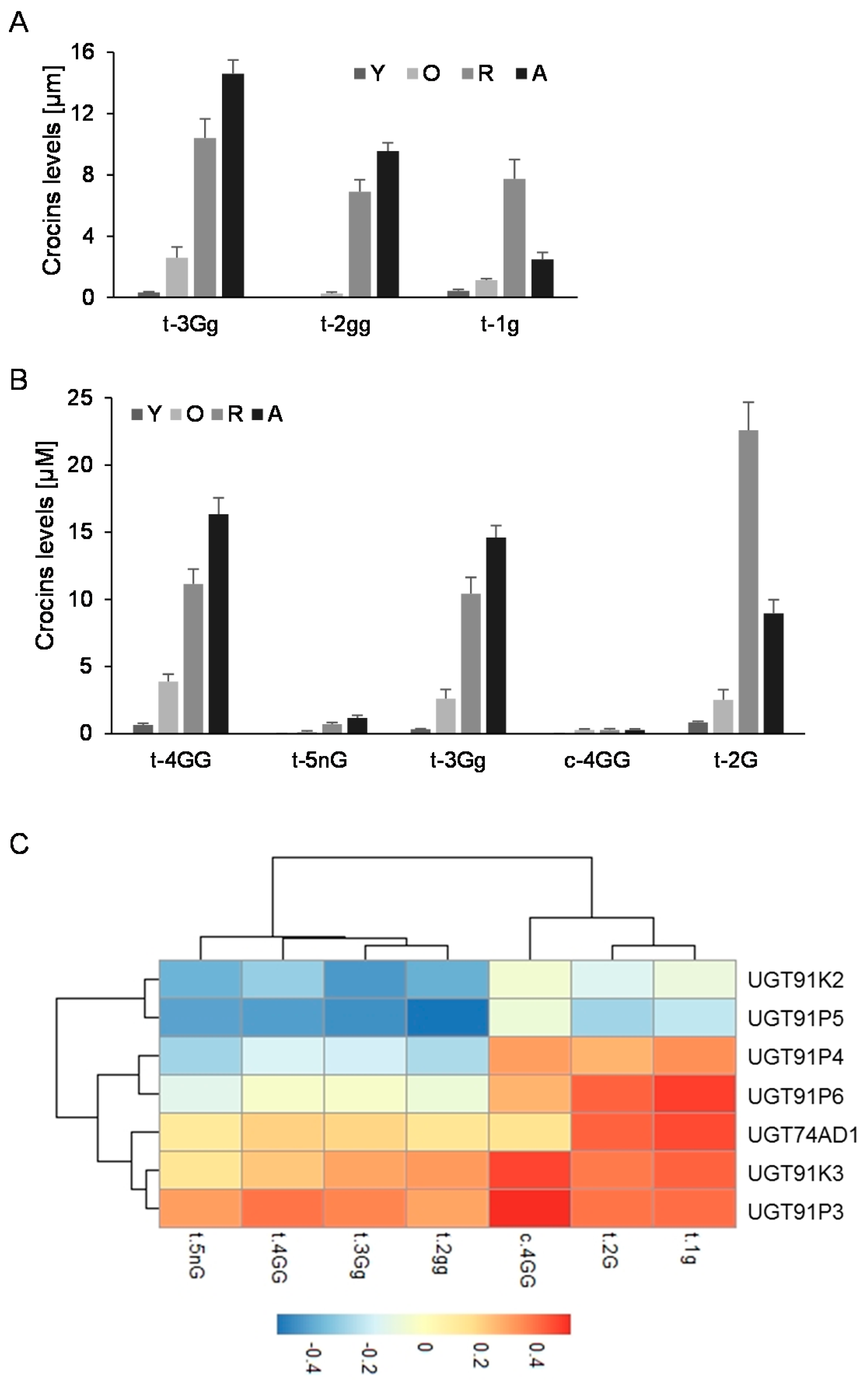 Ijms 22 08815 g003 Ijms 22 08815 g003