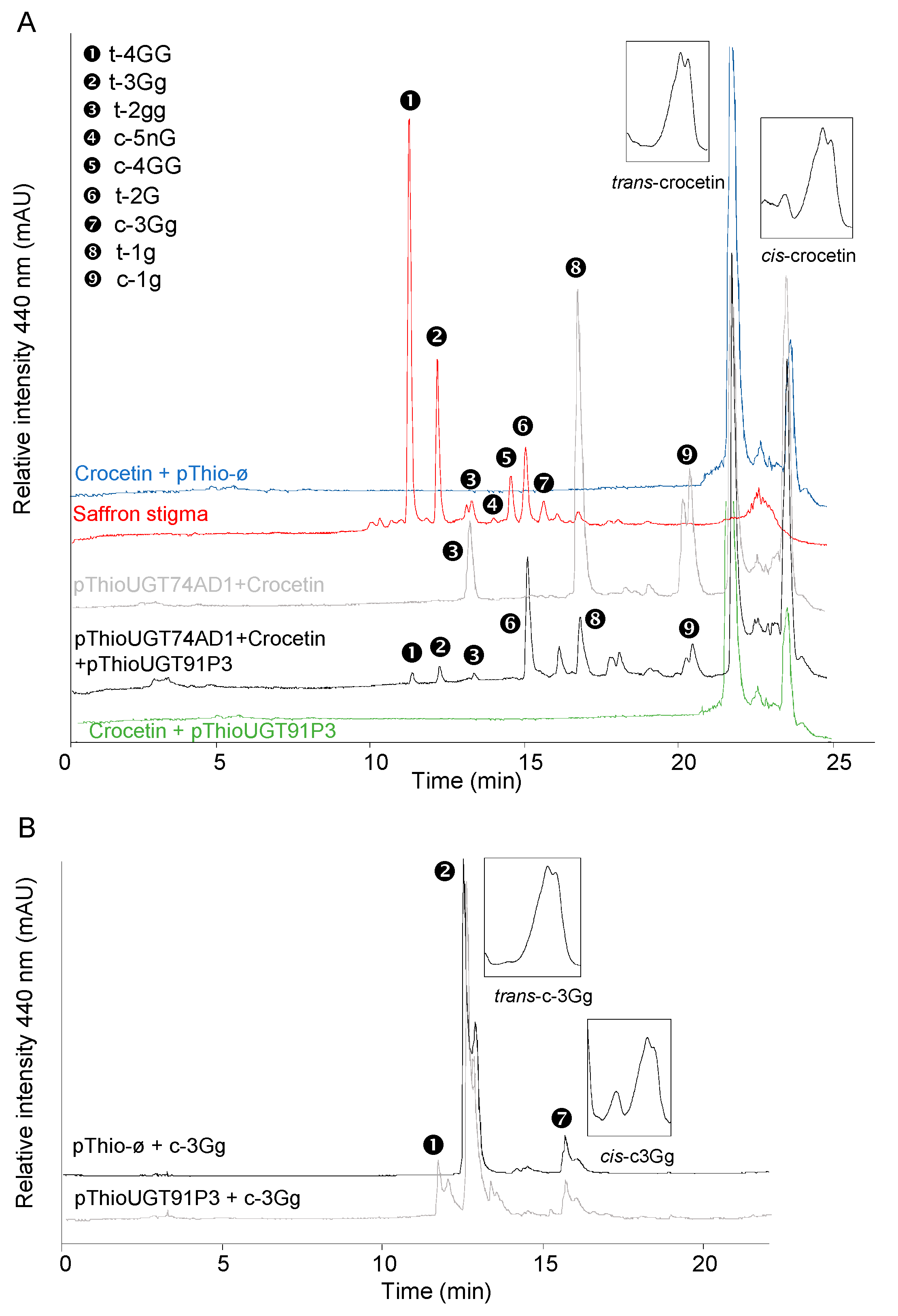 Ijms 22 08815 g004 Ijms 22 08815 g004