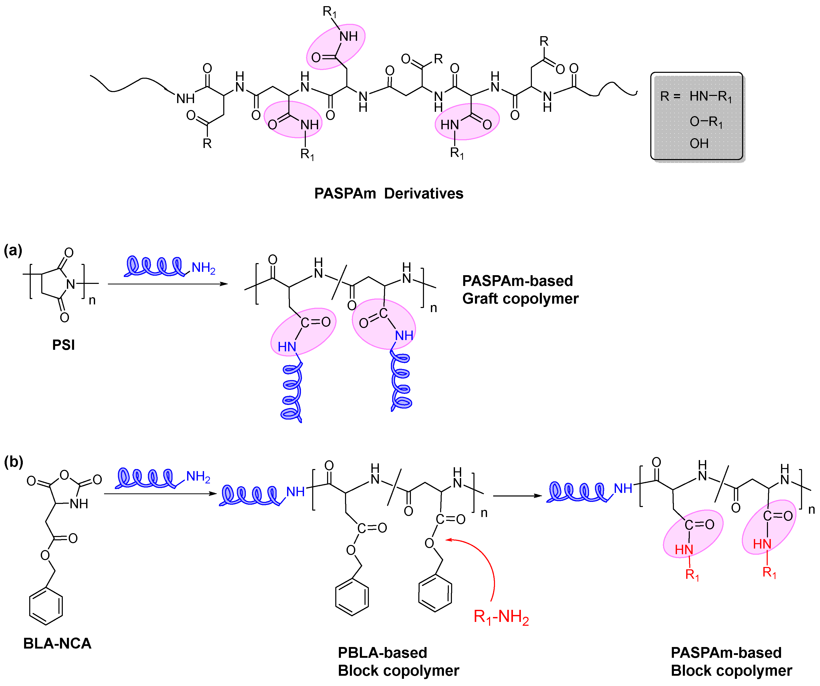Ijms 22 08817 g001 Ijms 22 08817 g001