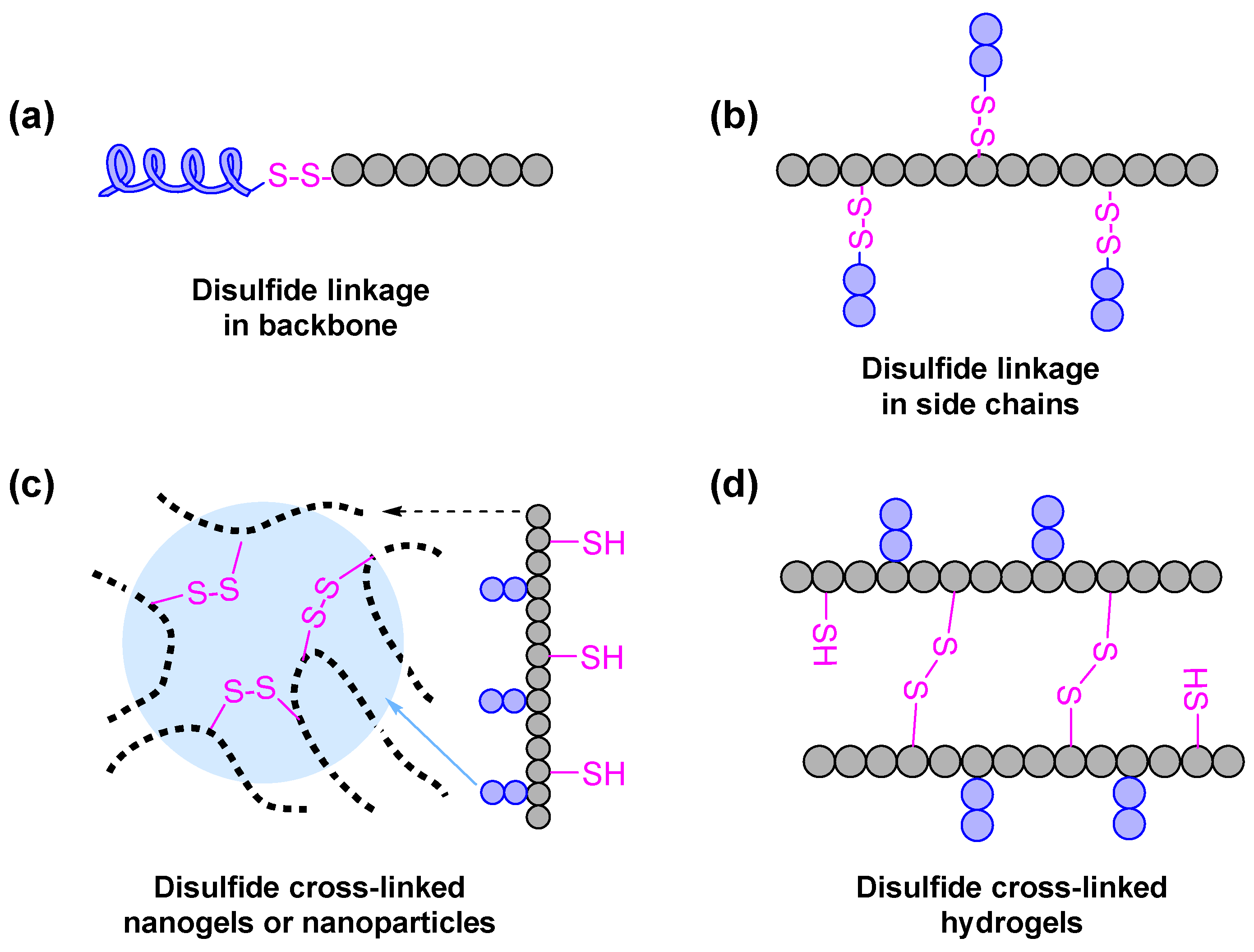 Ijms 22 08817 g002 Ijms 22 08817 g002