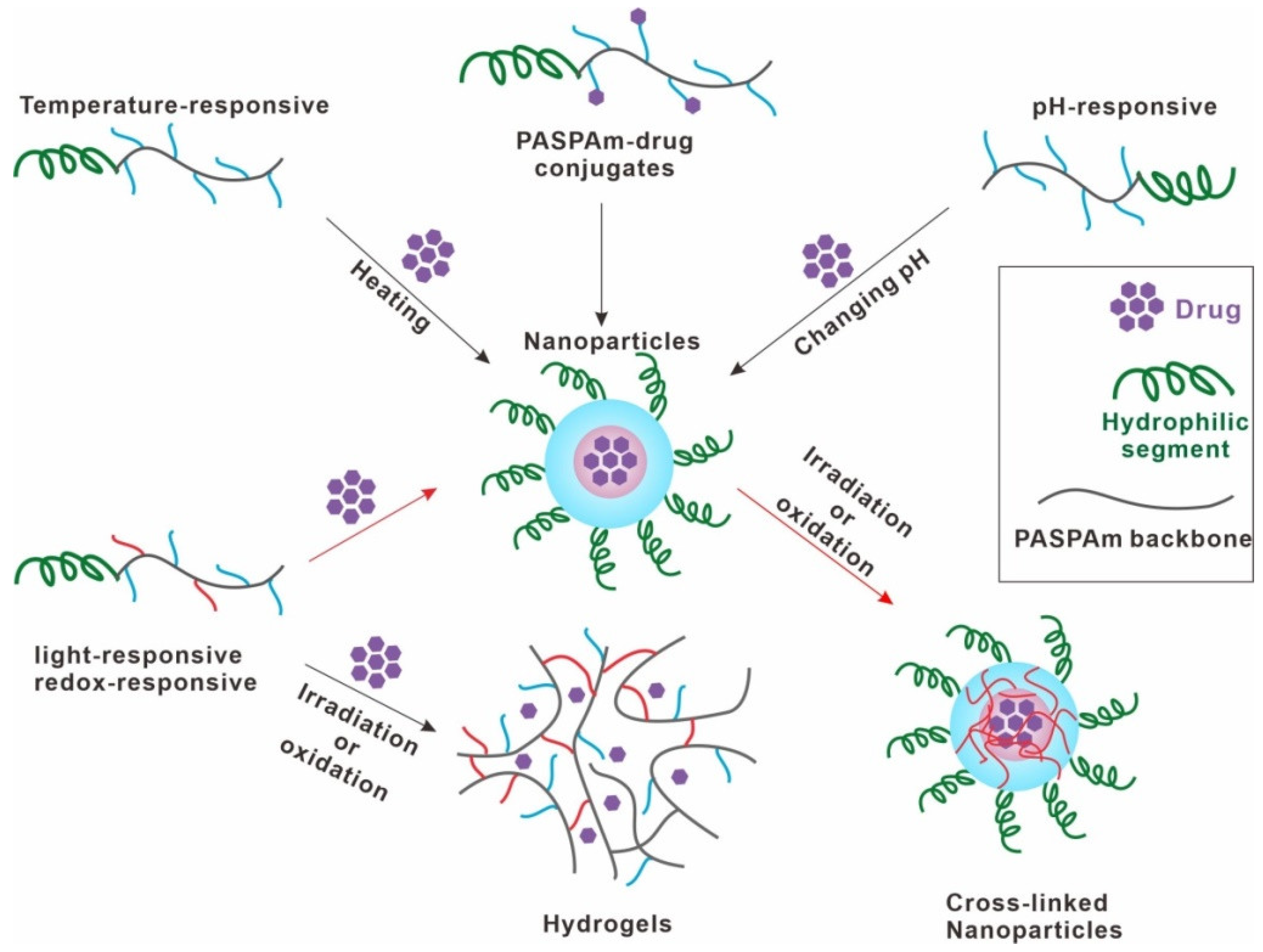 Ijms 22 08817 g003 Ijms 22 08817 g003