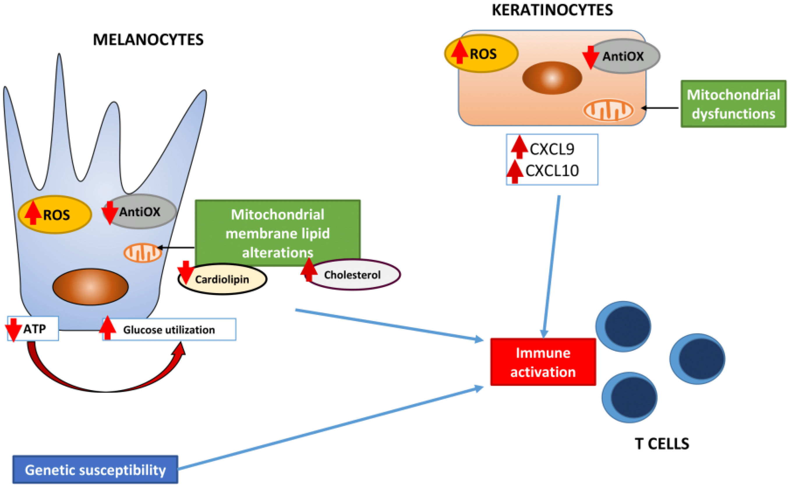 Ijms 22 08820 g001 550