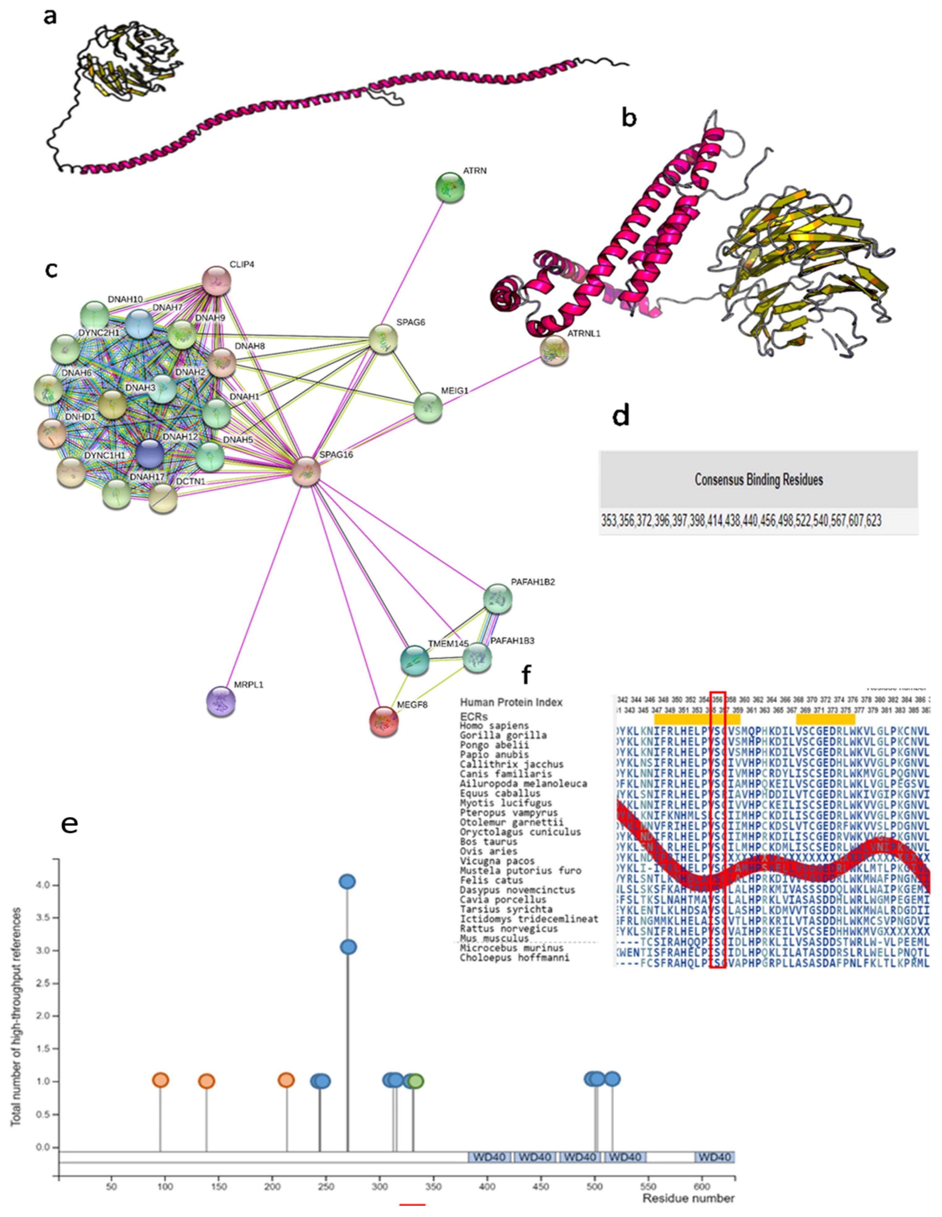 Ijms 22 08821 g003 550