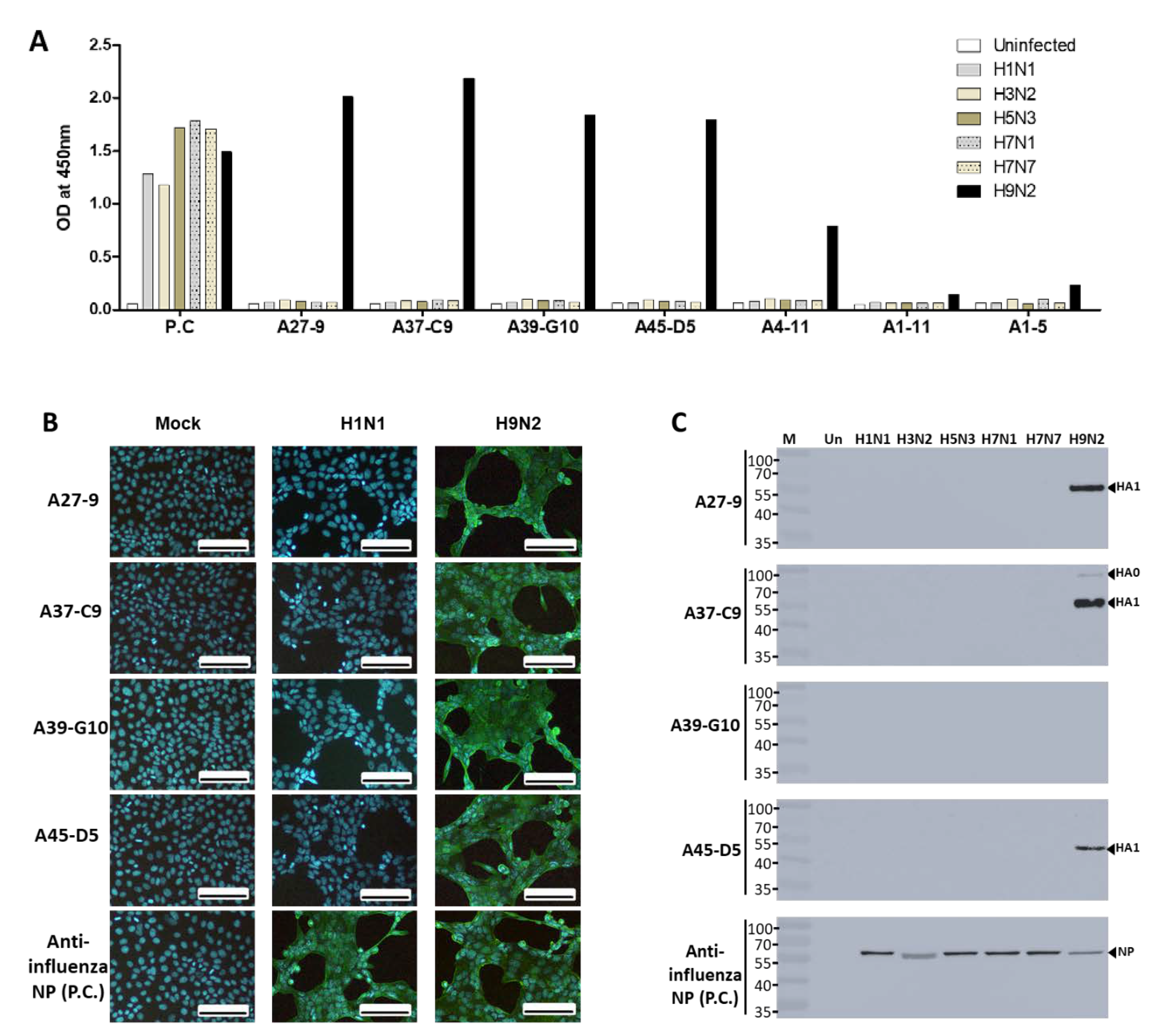 Ijms 22 08823 g001 Ijms 22 08823 g001