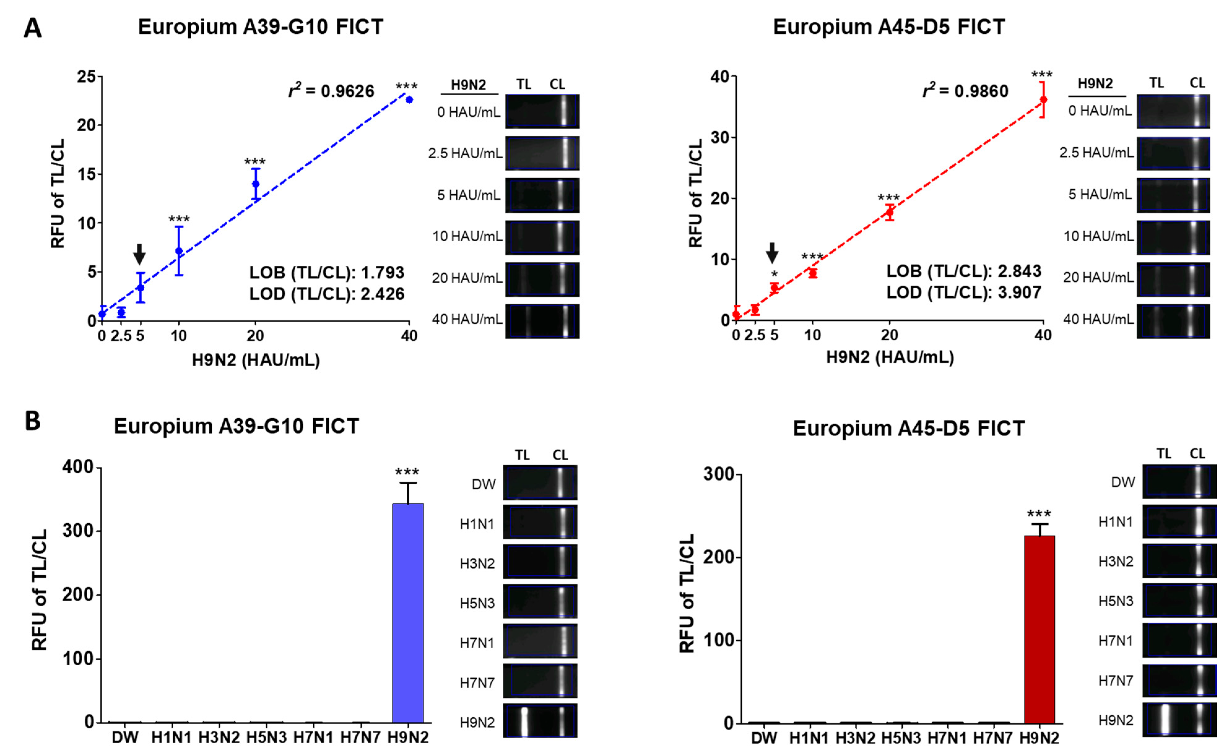 Ijms 22 08823 g004 Ijms 22 08823 g004