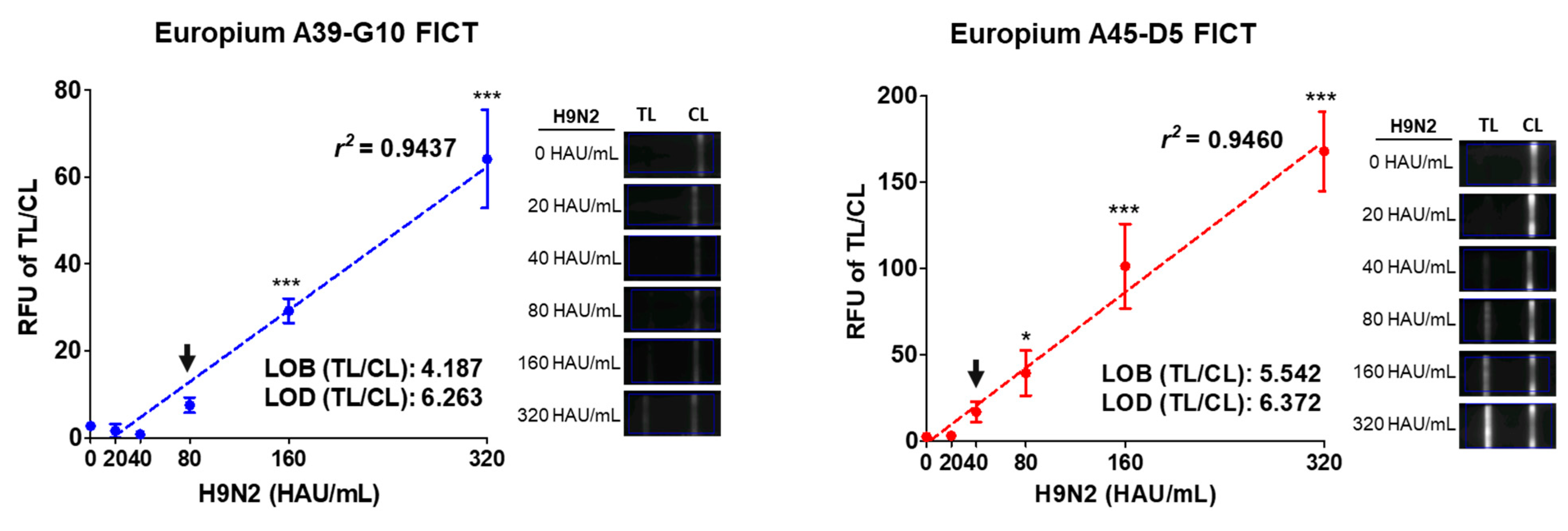 Ijms 22 08823 g005 Ijms 22 08823 g005