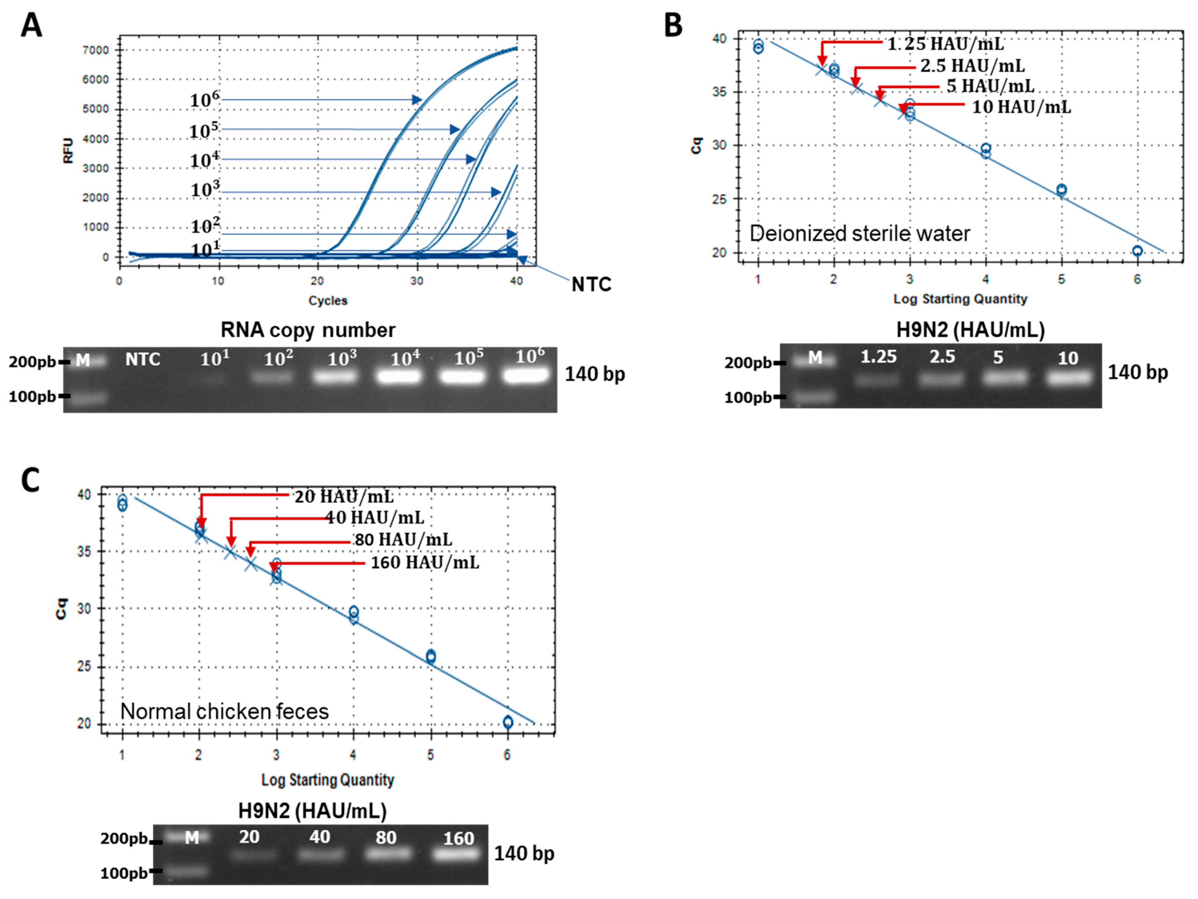 Ijms 22 08823 g006 Ijms 22 08823 g006
