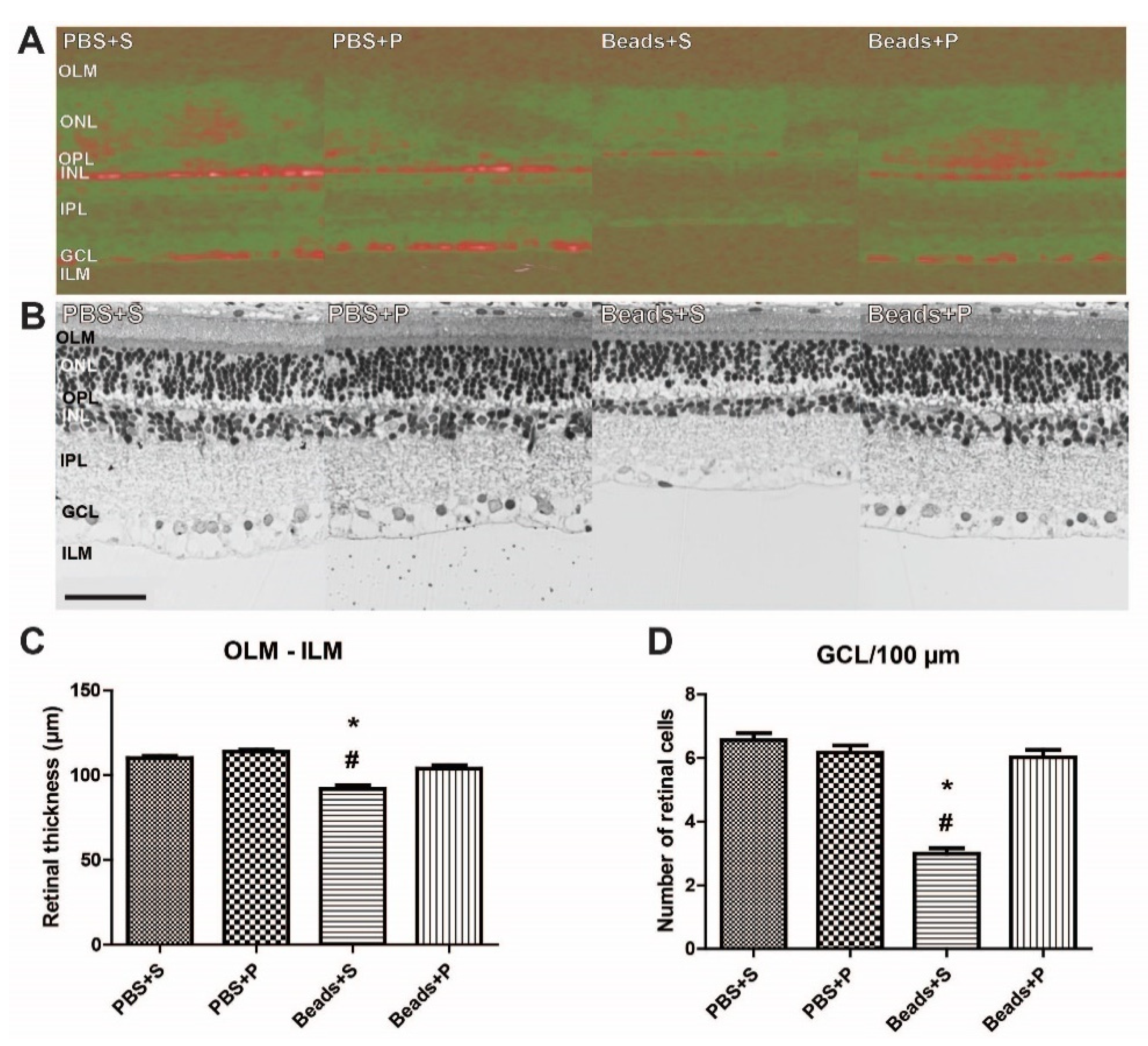 Ijms 22 08825 g002 Ijms 22 08825 g002