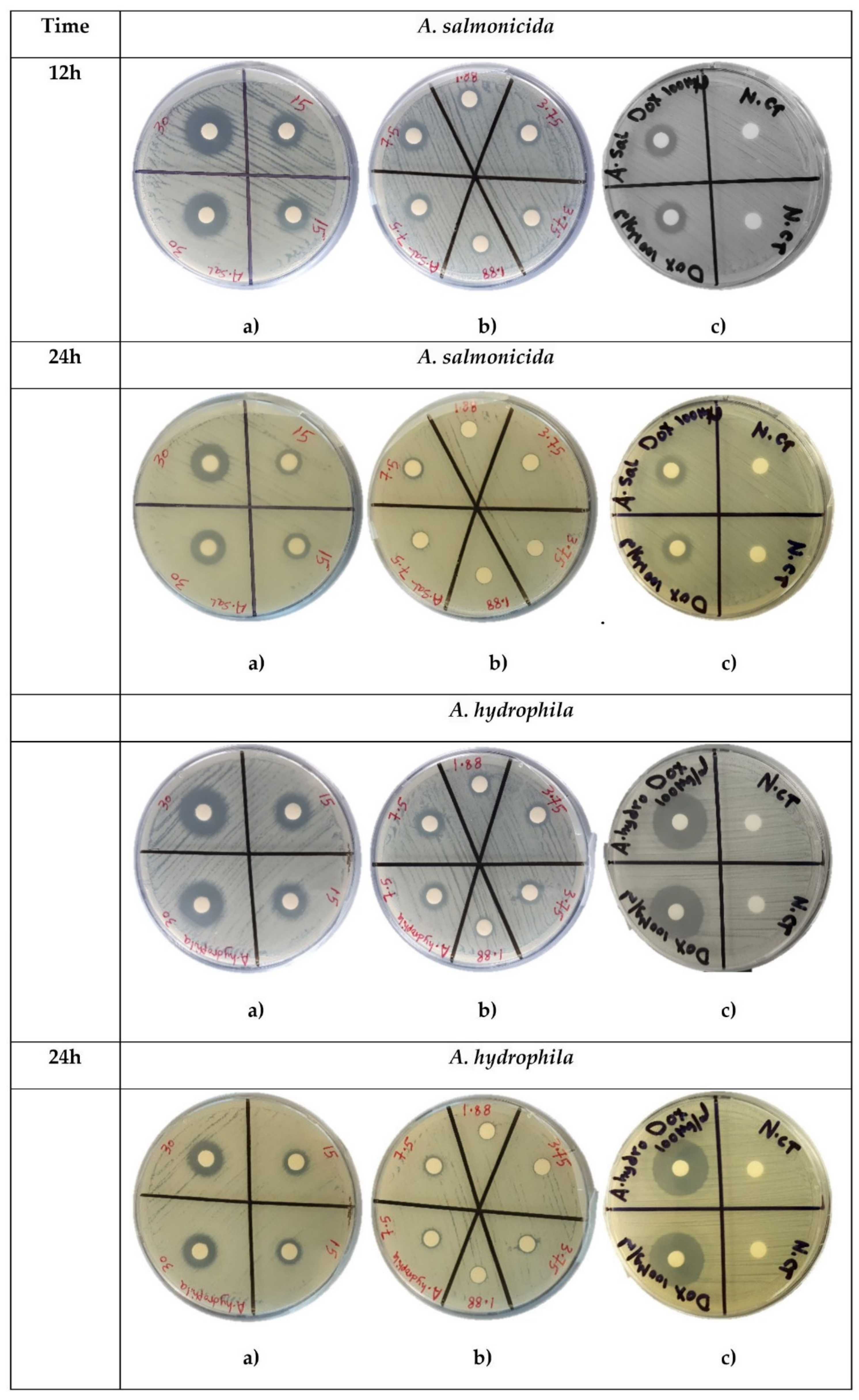 Ijms 22 08829 g004 550