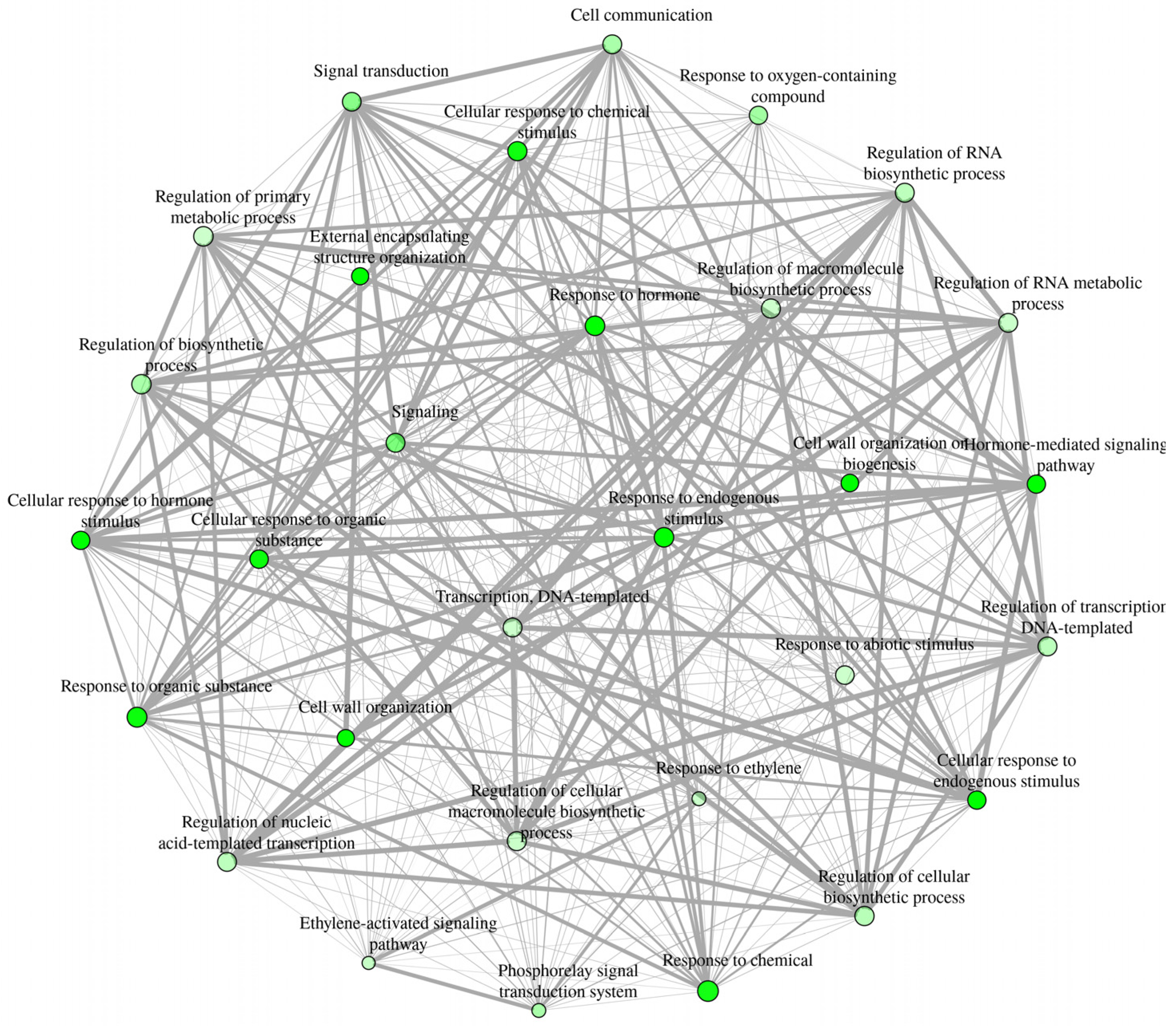 Ijms 22 08830 g003 550