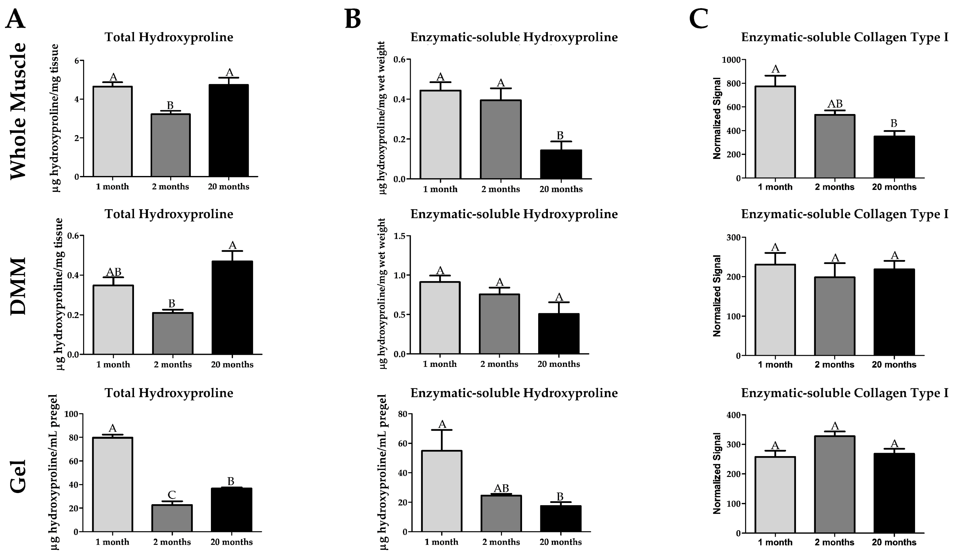 Ijms 22 08832 g005 Ijms 22 08832 g005