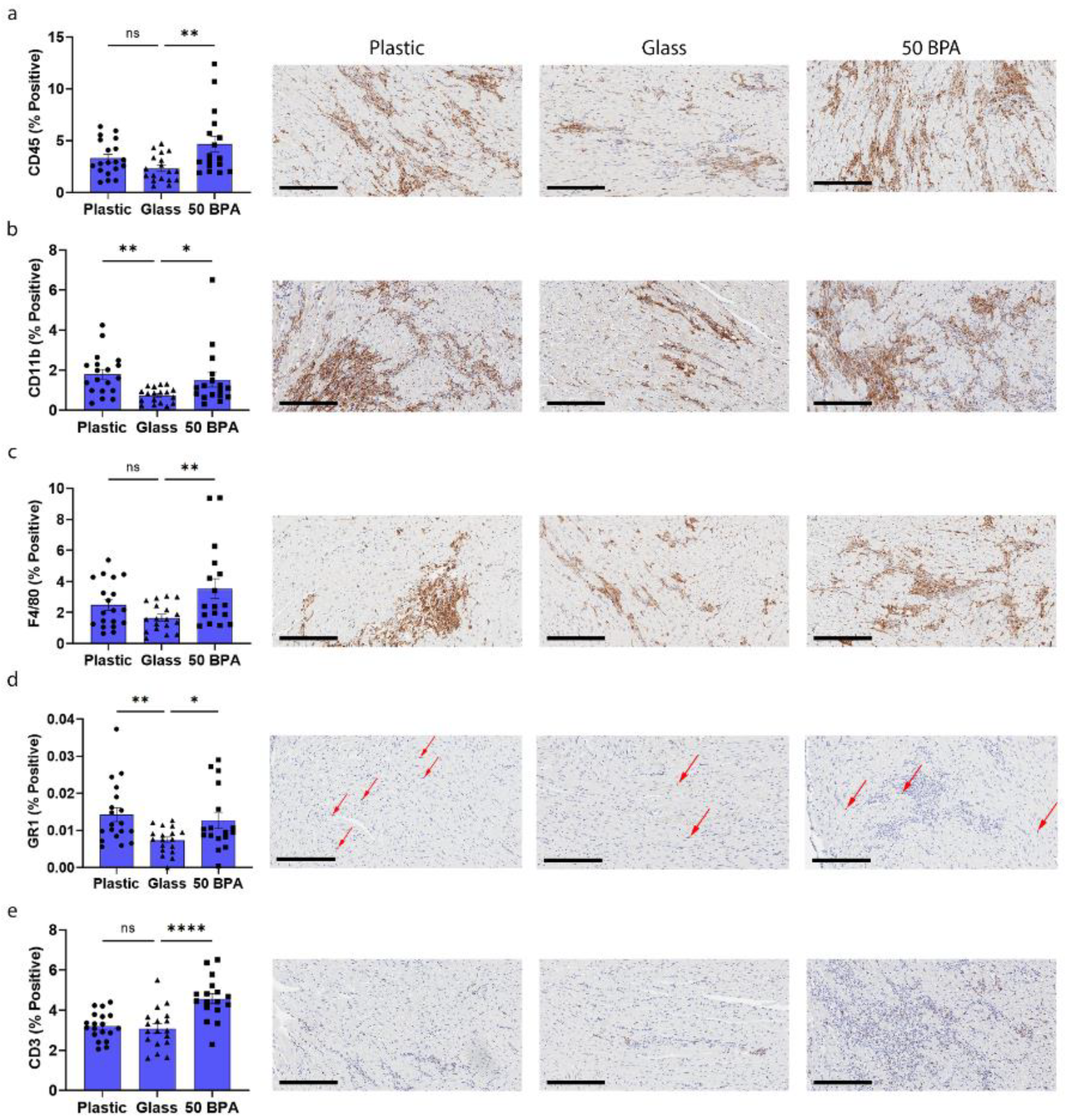 Ijms 22 08834 g005 550