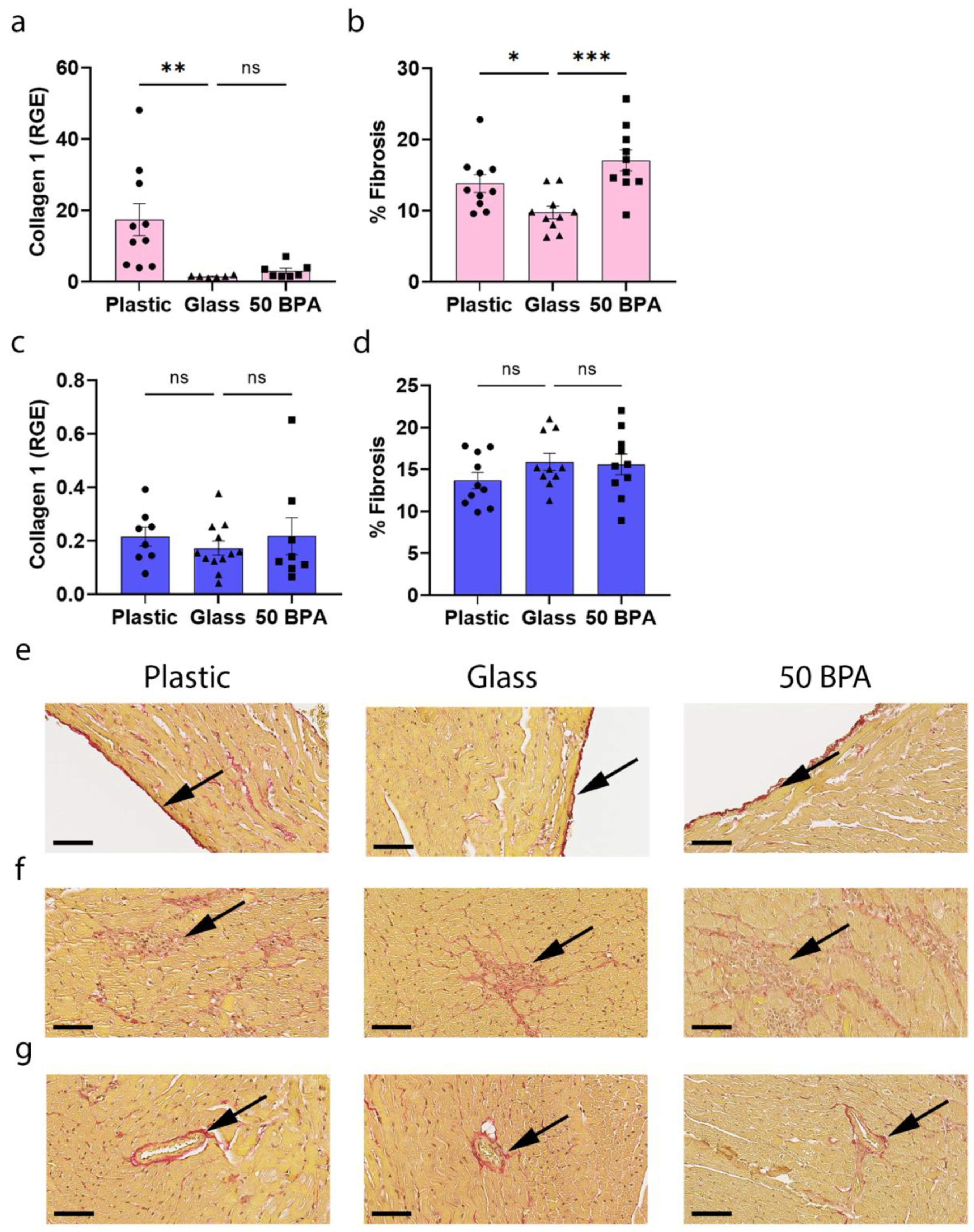 Ijms 22 08834 g010 550