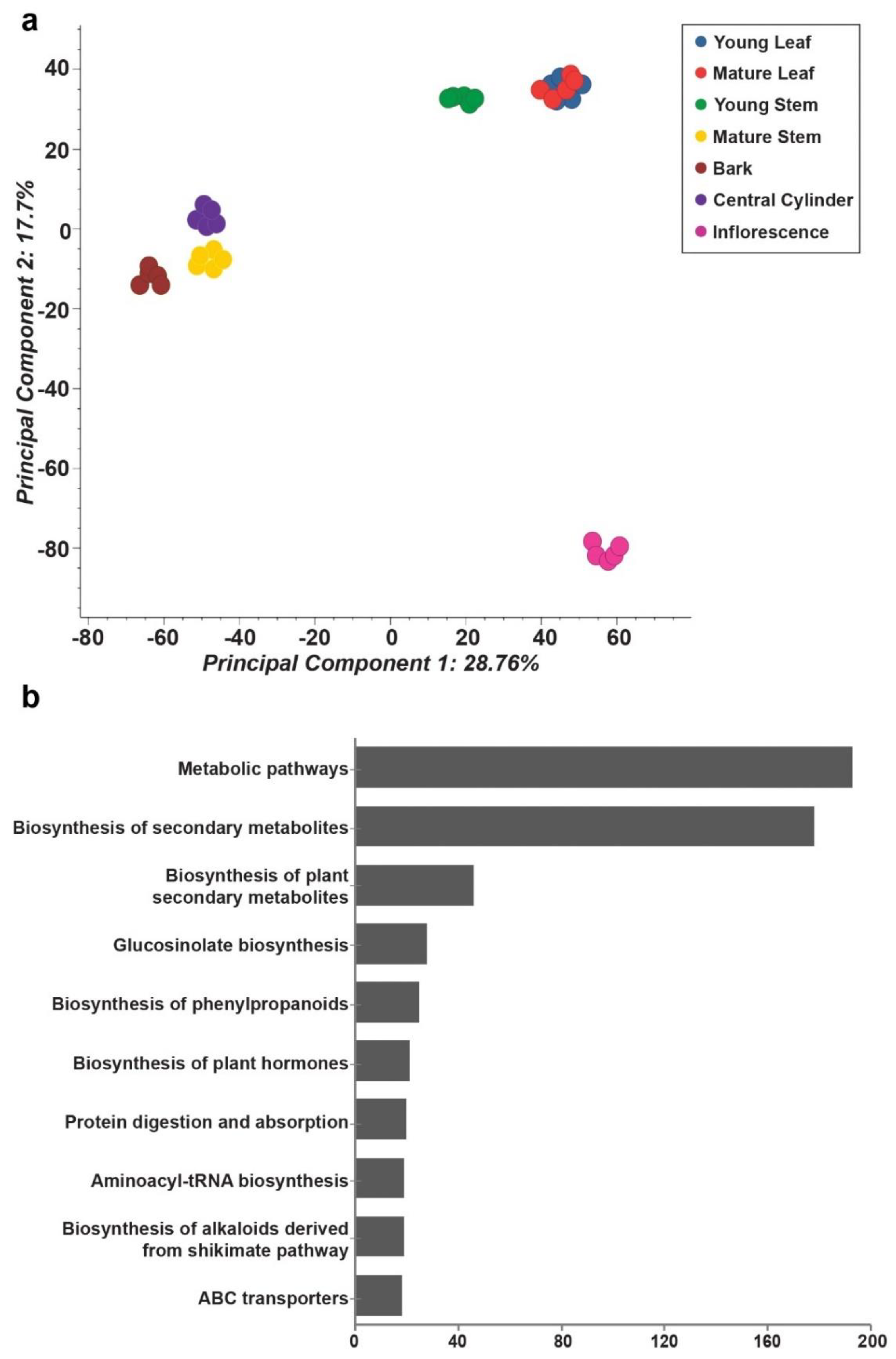 Ijms 22 08835 g002 550