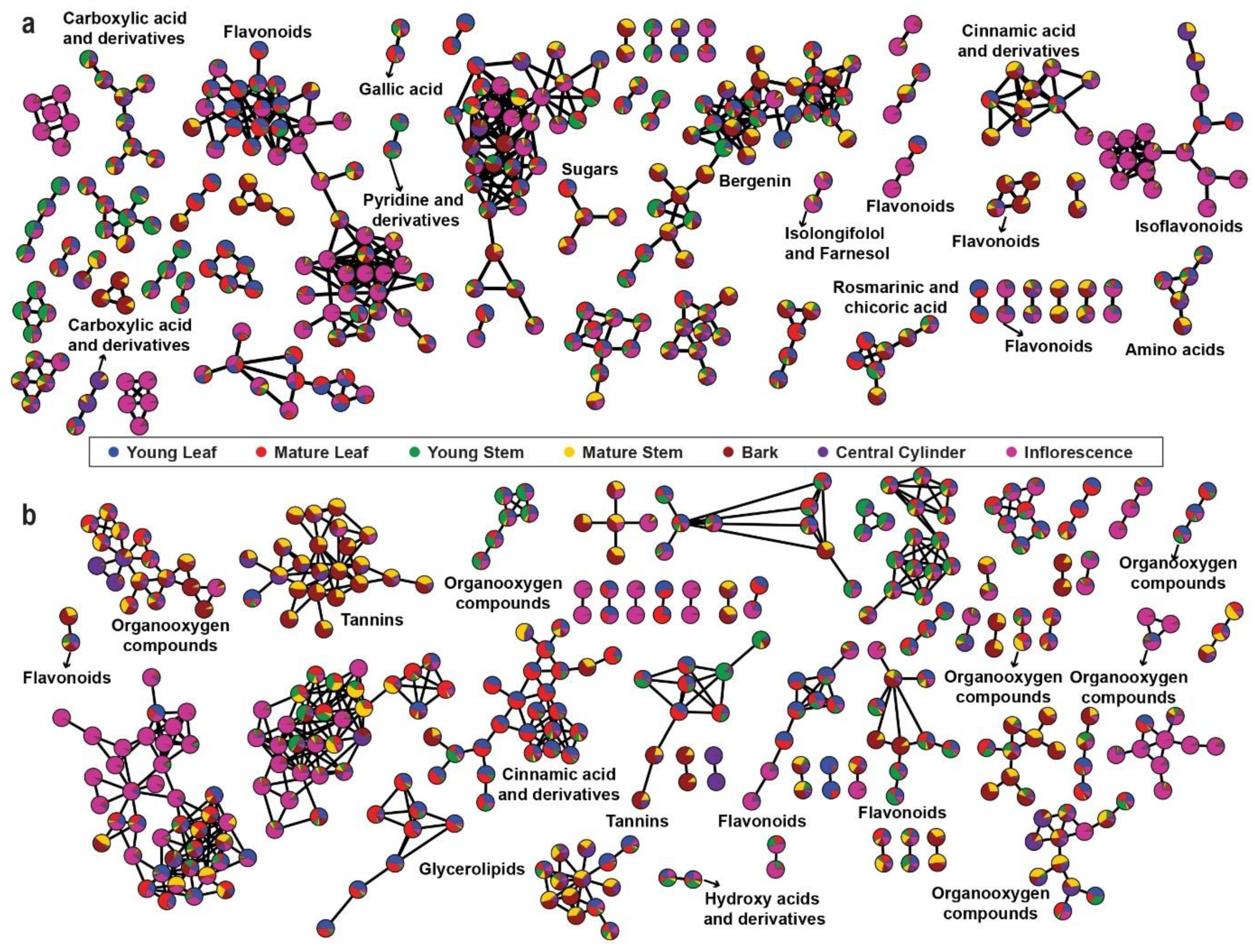 Ijms 22 08835 g003 550