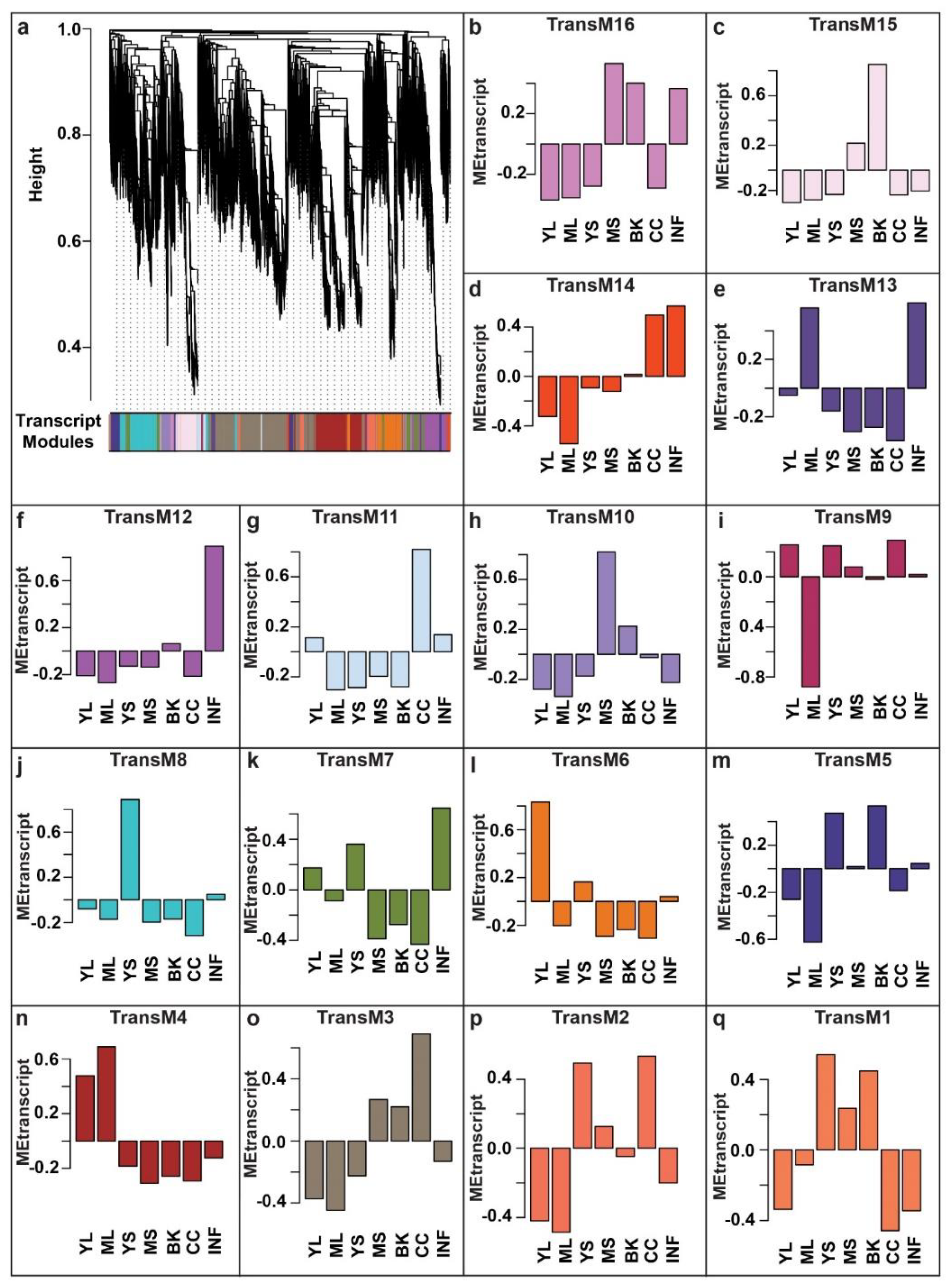 Ijms 22 08835 g005 550