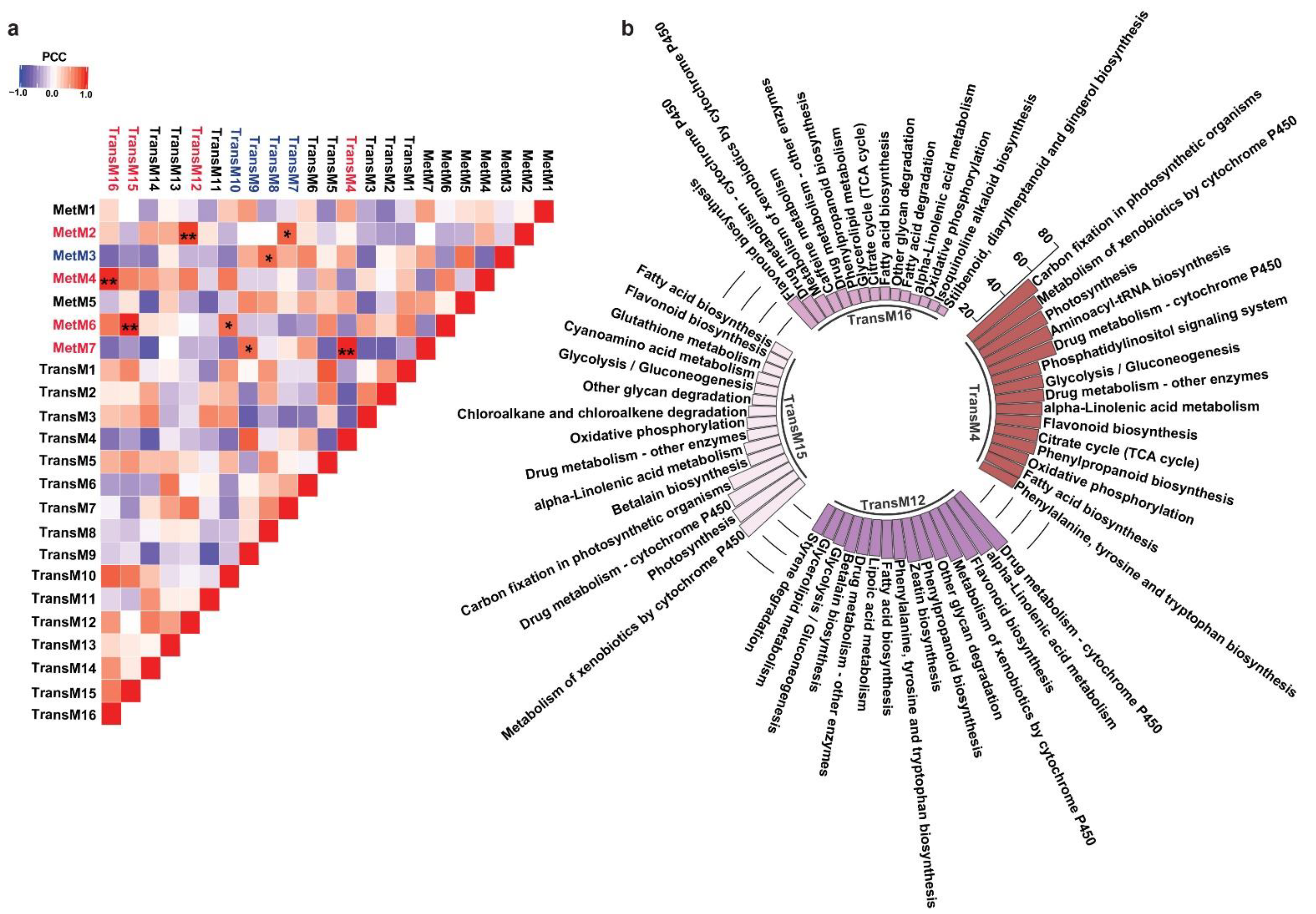 Ijms 22 08835 g006 550