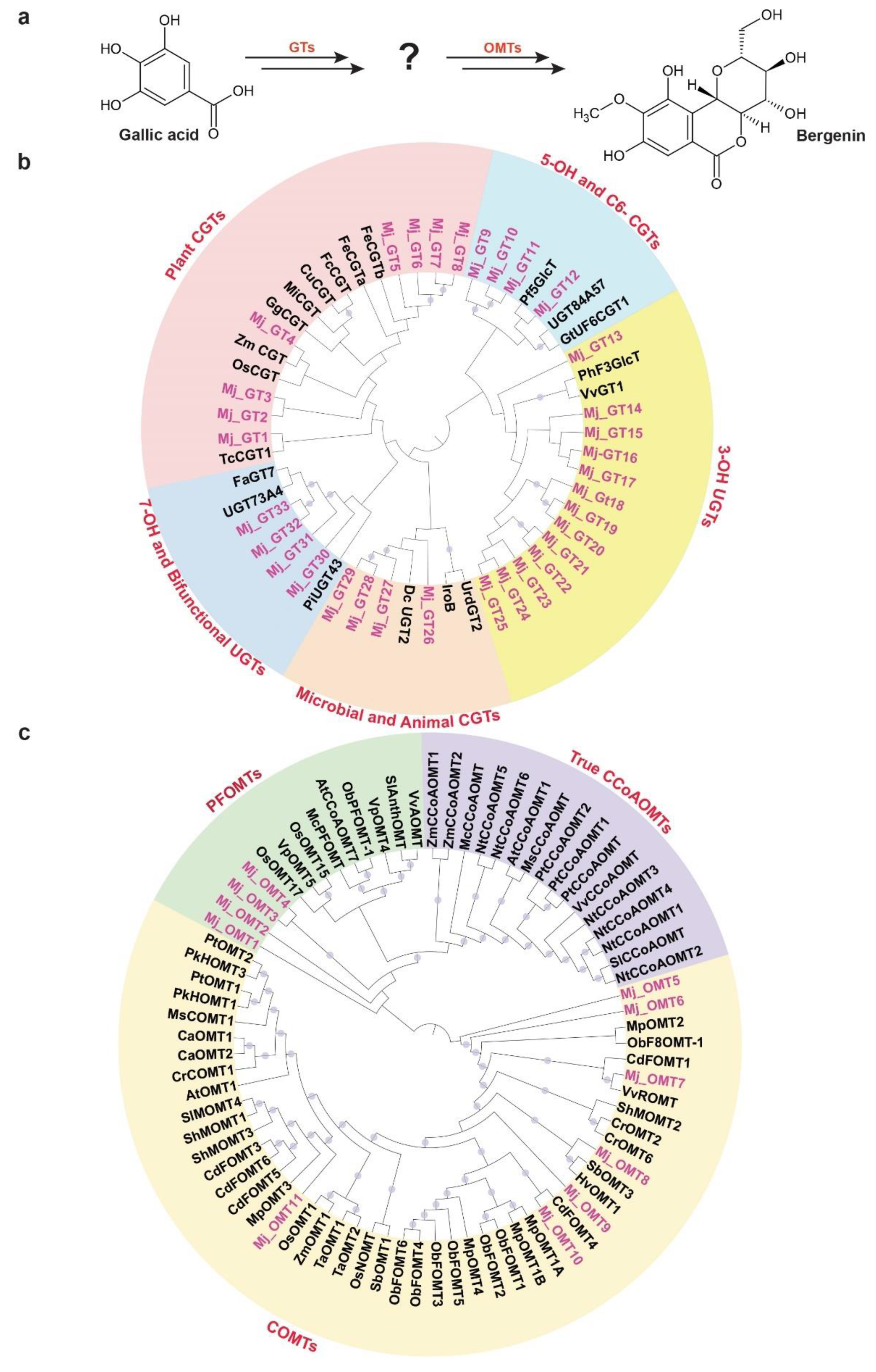 Ijms 22 08835 g008 550