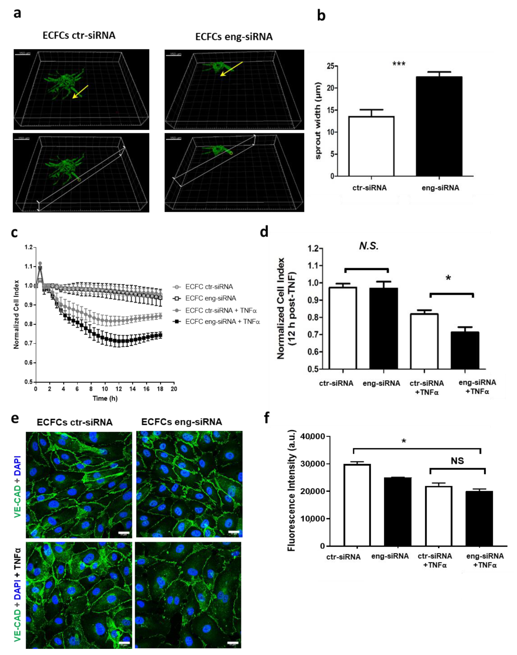 Ijms 22 08837 g001 Ijms 22 08837 g001