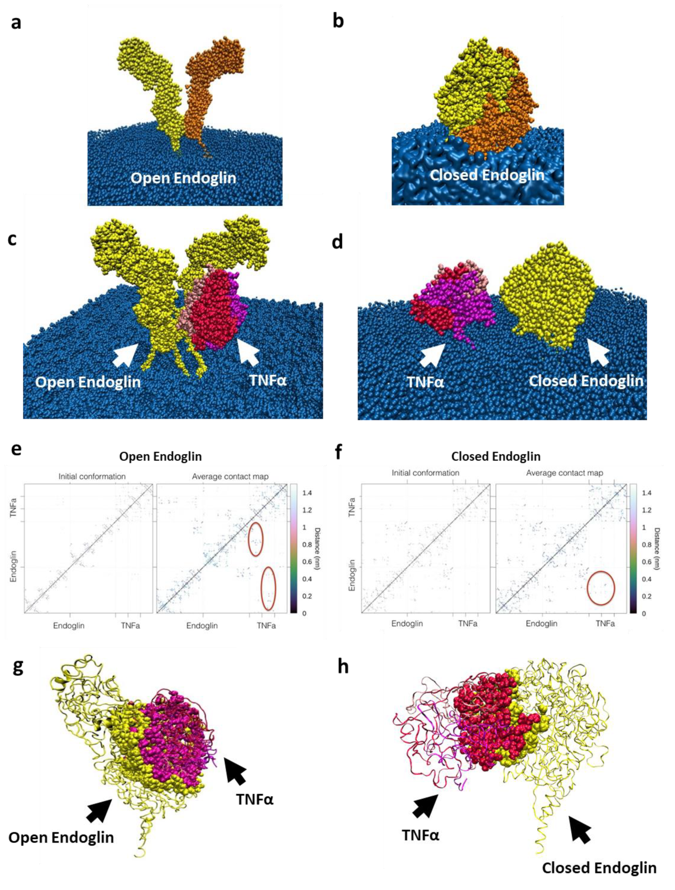 Ijms 22 08837 g002 Ijms 22 08837 g002