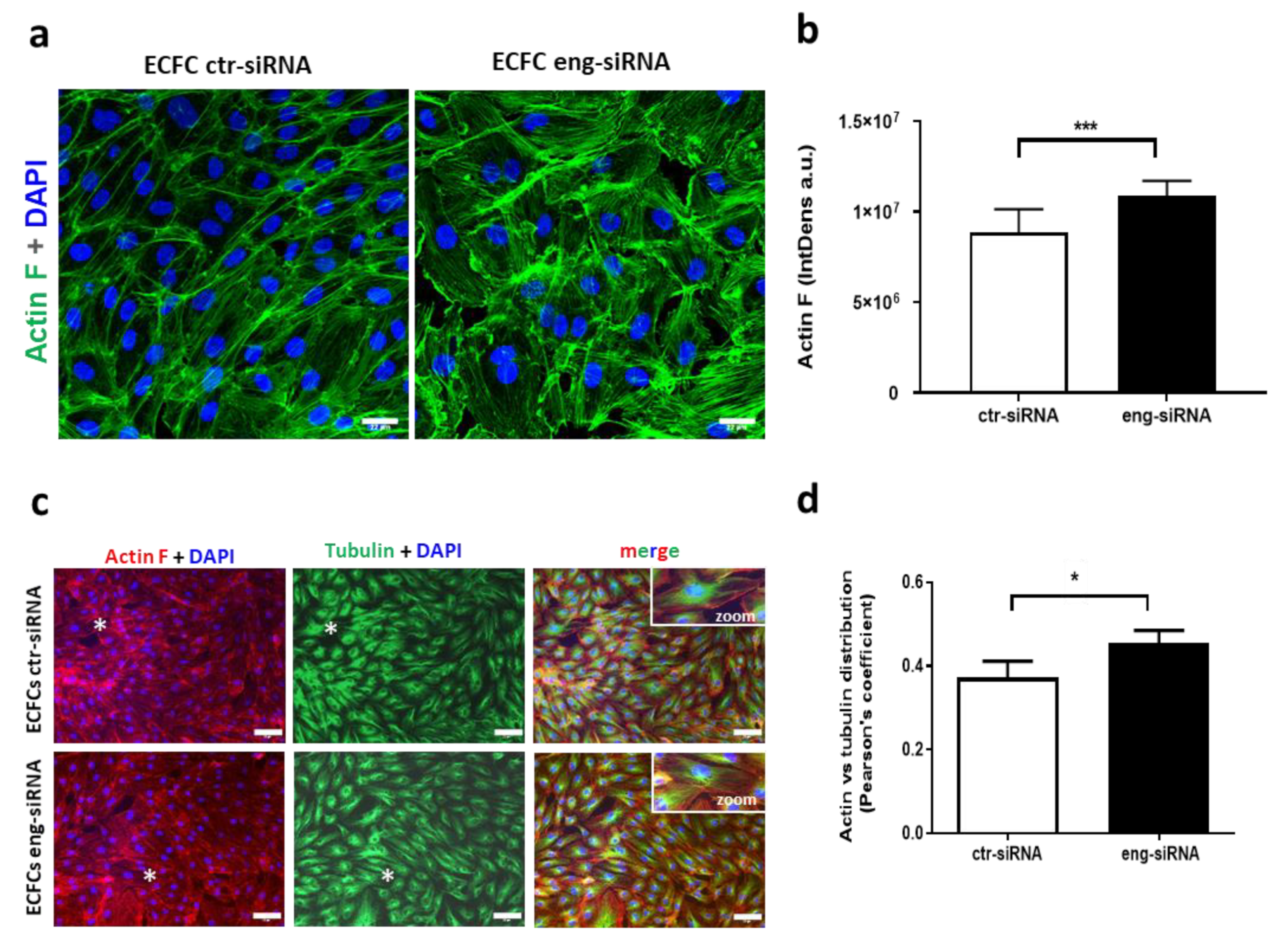 Ijms 22 08837 g003 Ijms 22 08837 g003