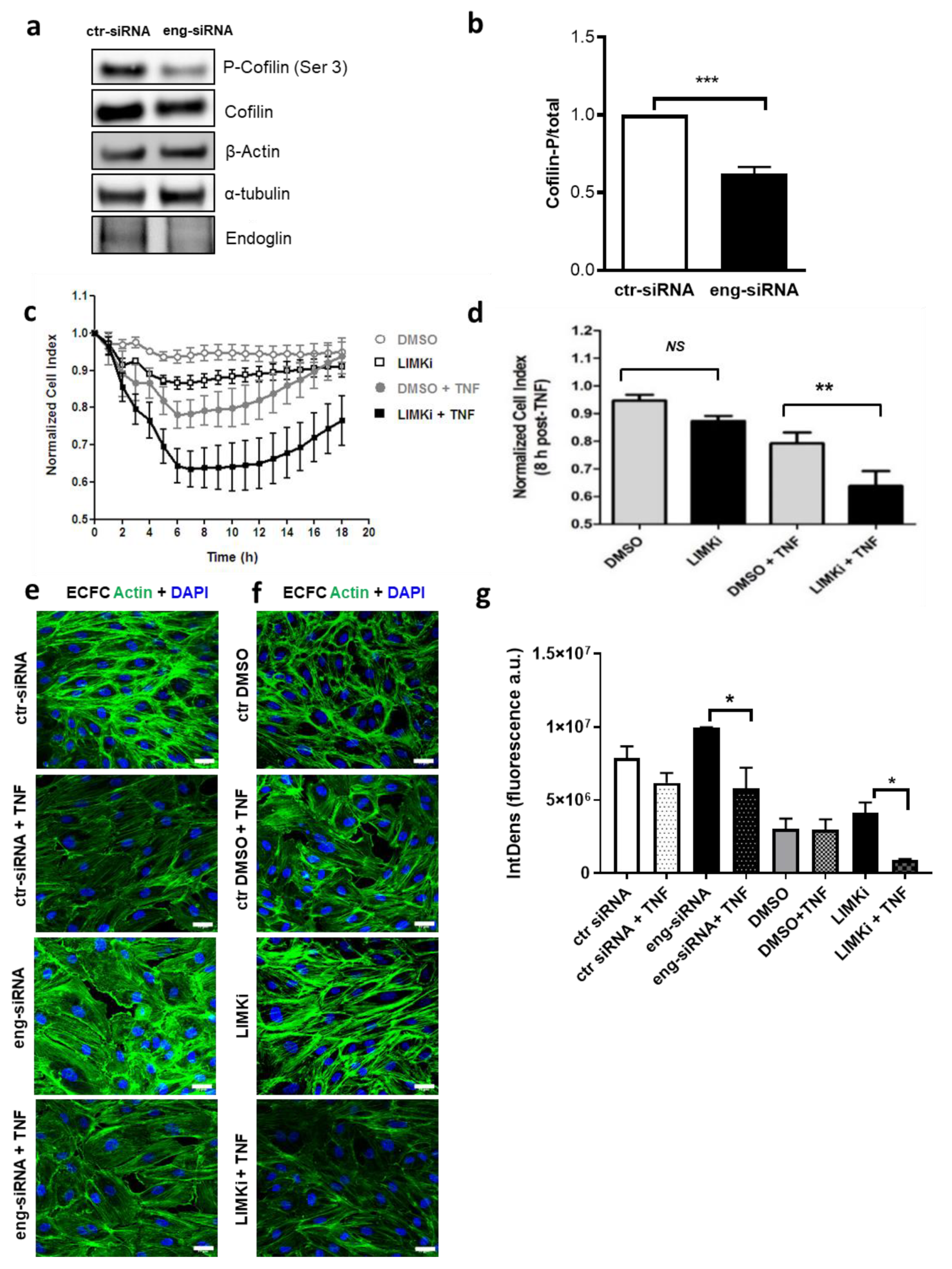 Ijms 22 08837 g005 Ijms 22 08837 g005