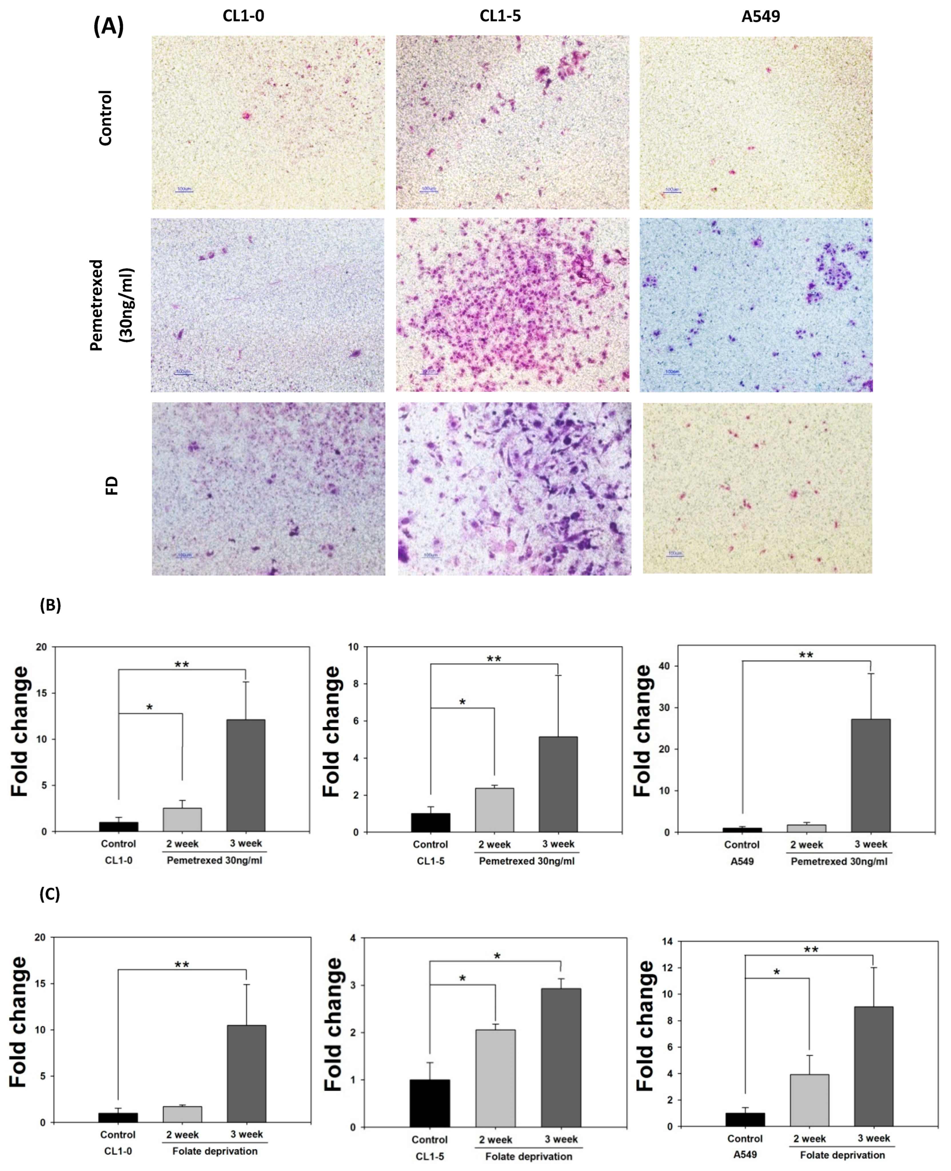 Ijms 22 08838 g002a 550