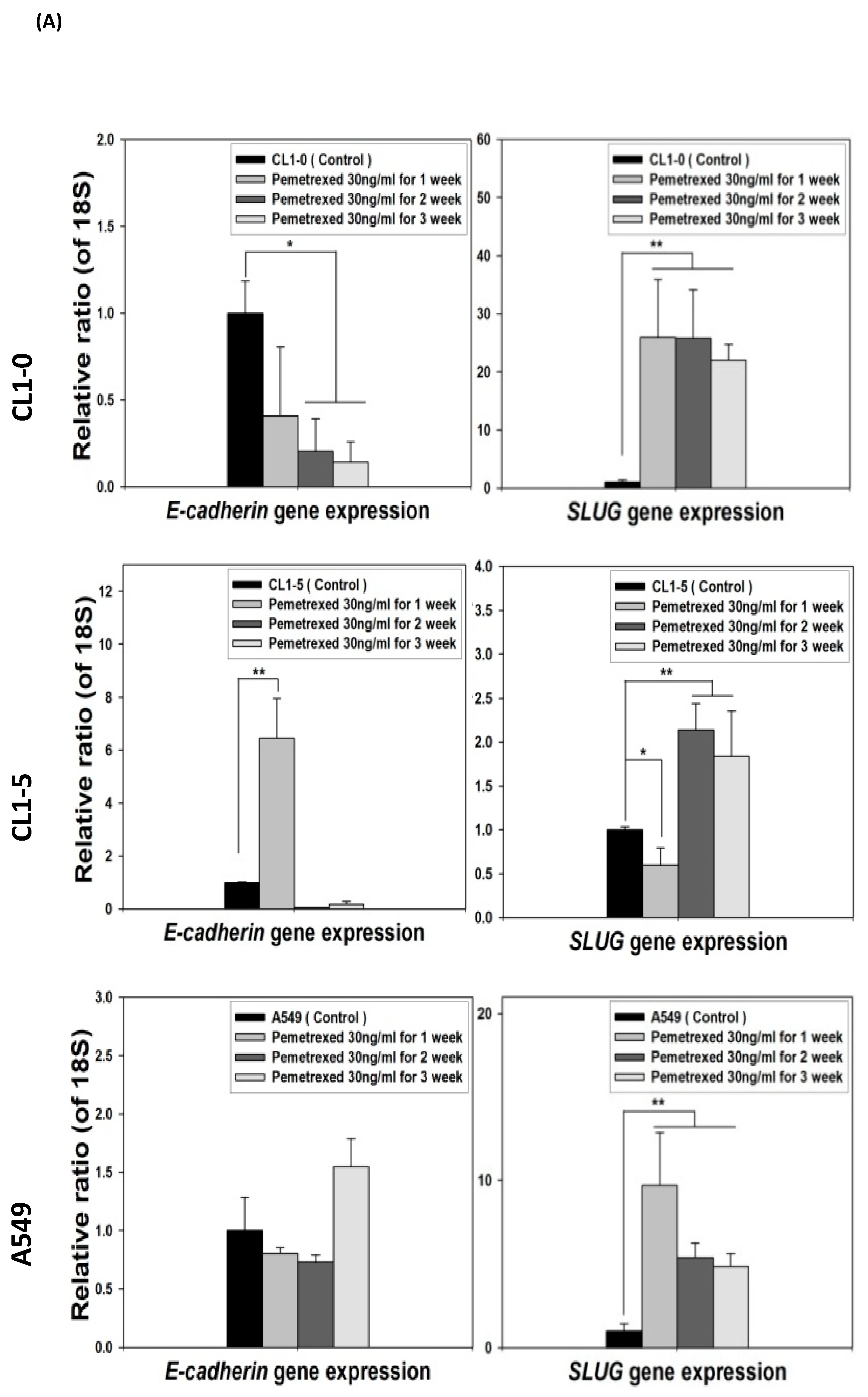 Ijms 22 08838 g004a 550