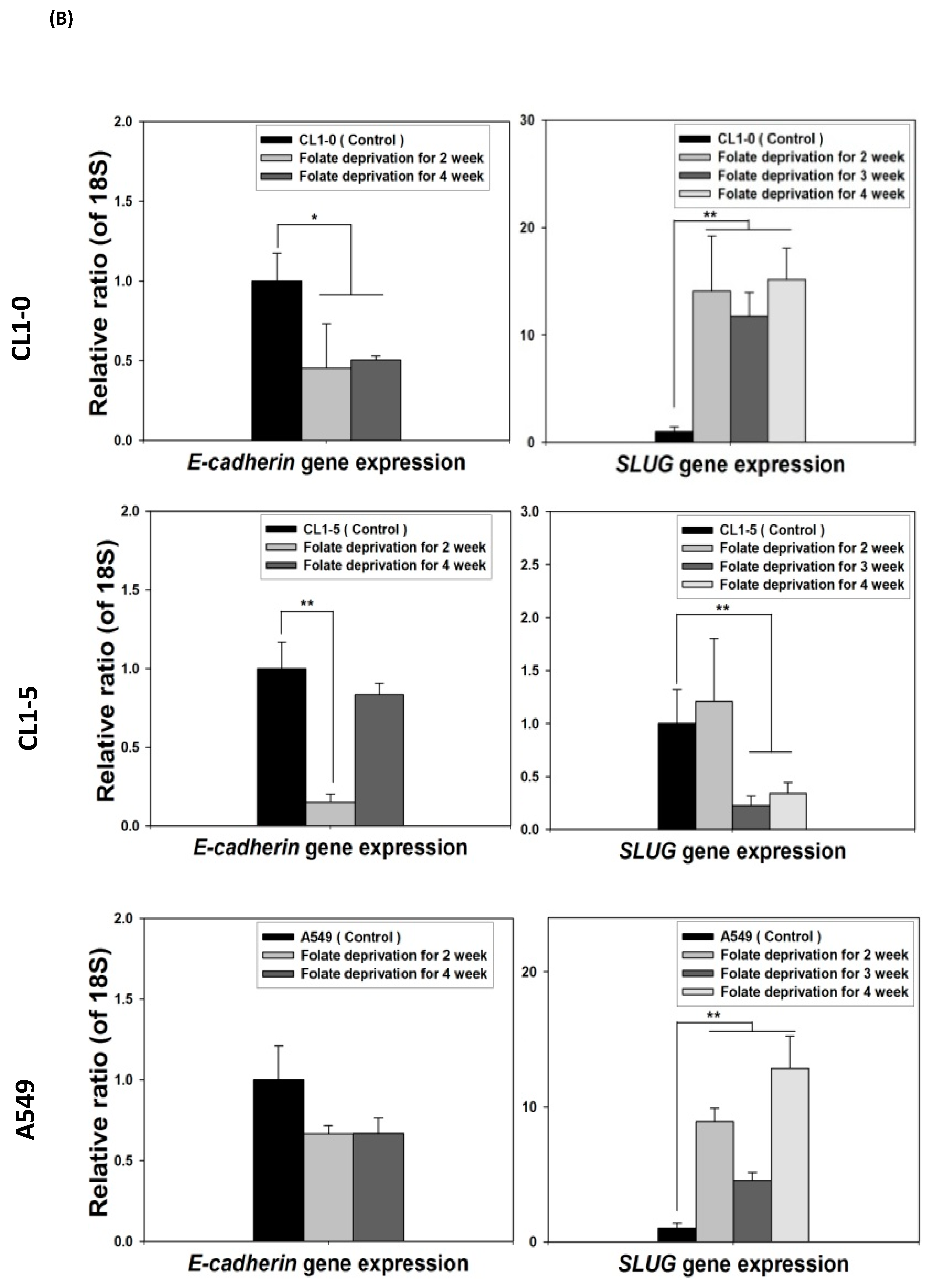 Ijms 22 08838 g004b 550
