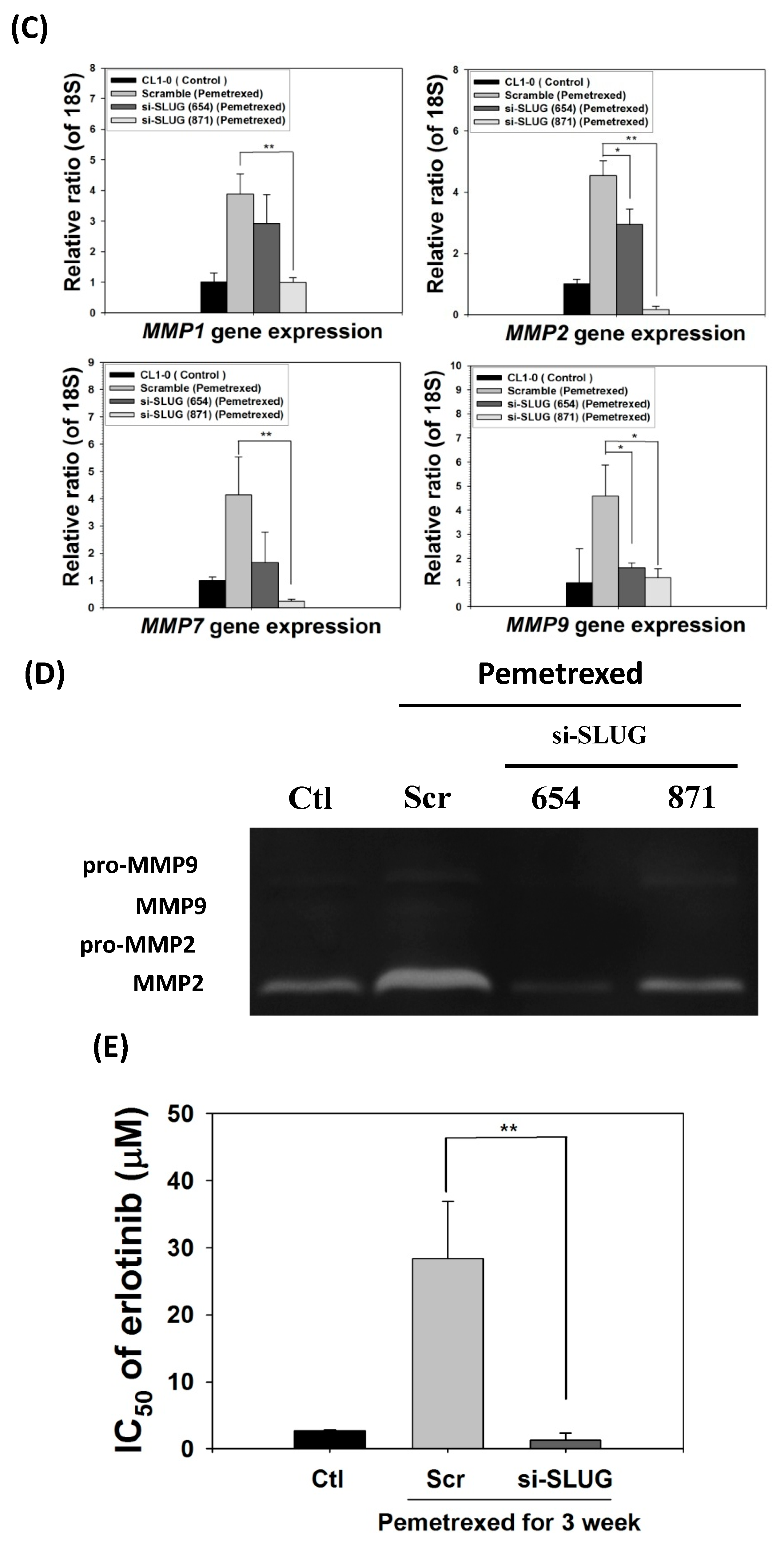 Ijms 22 08838 g005b 550